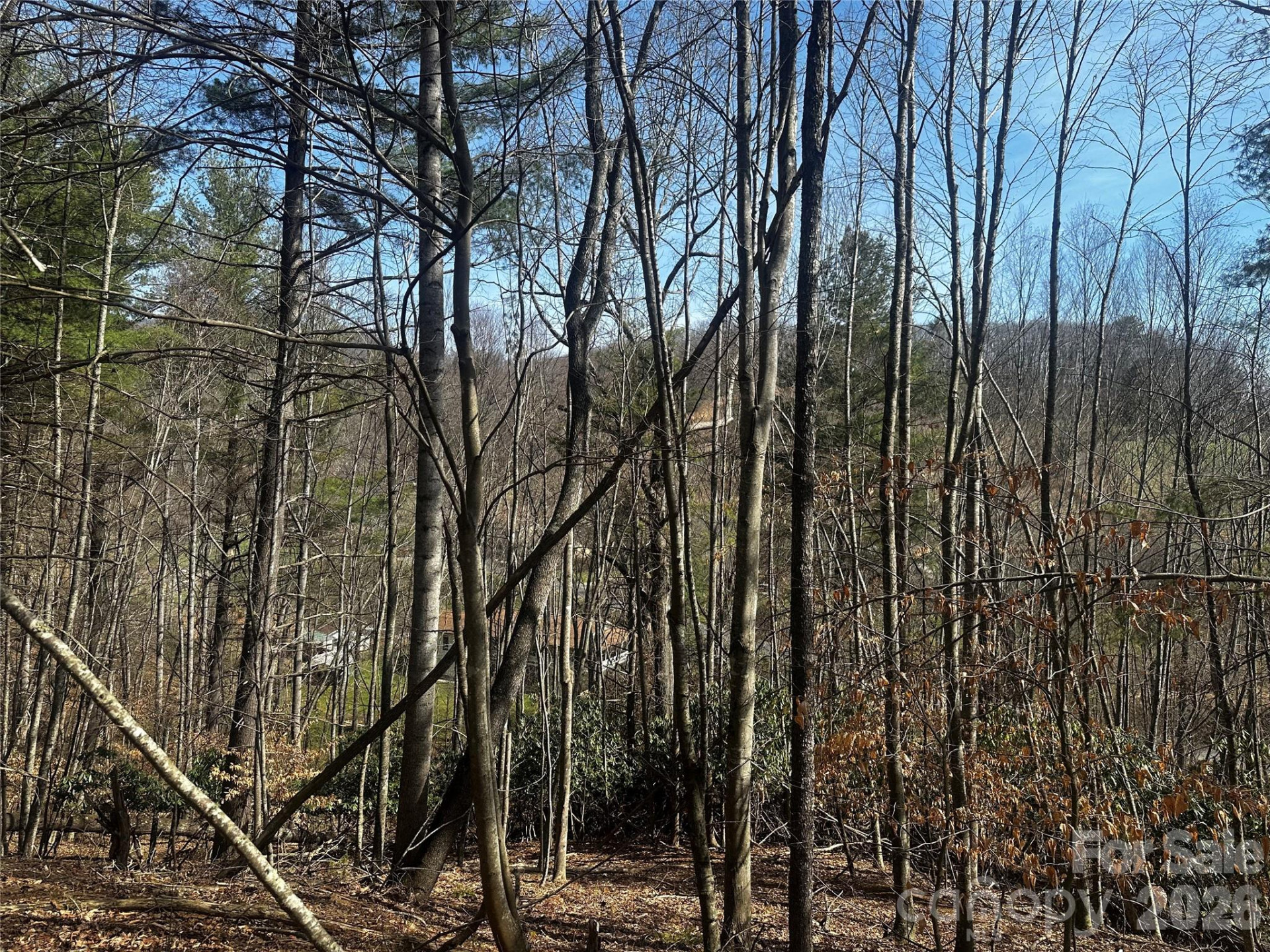 00 Saw Mill Hollow - Photo 13