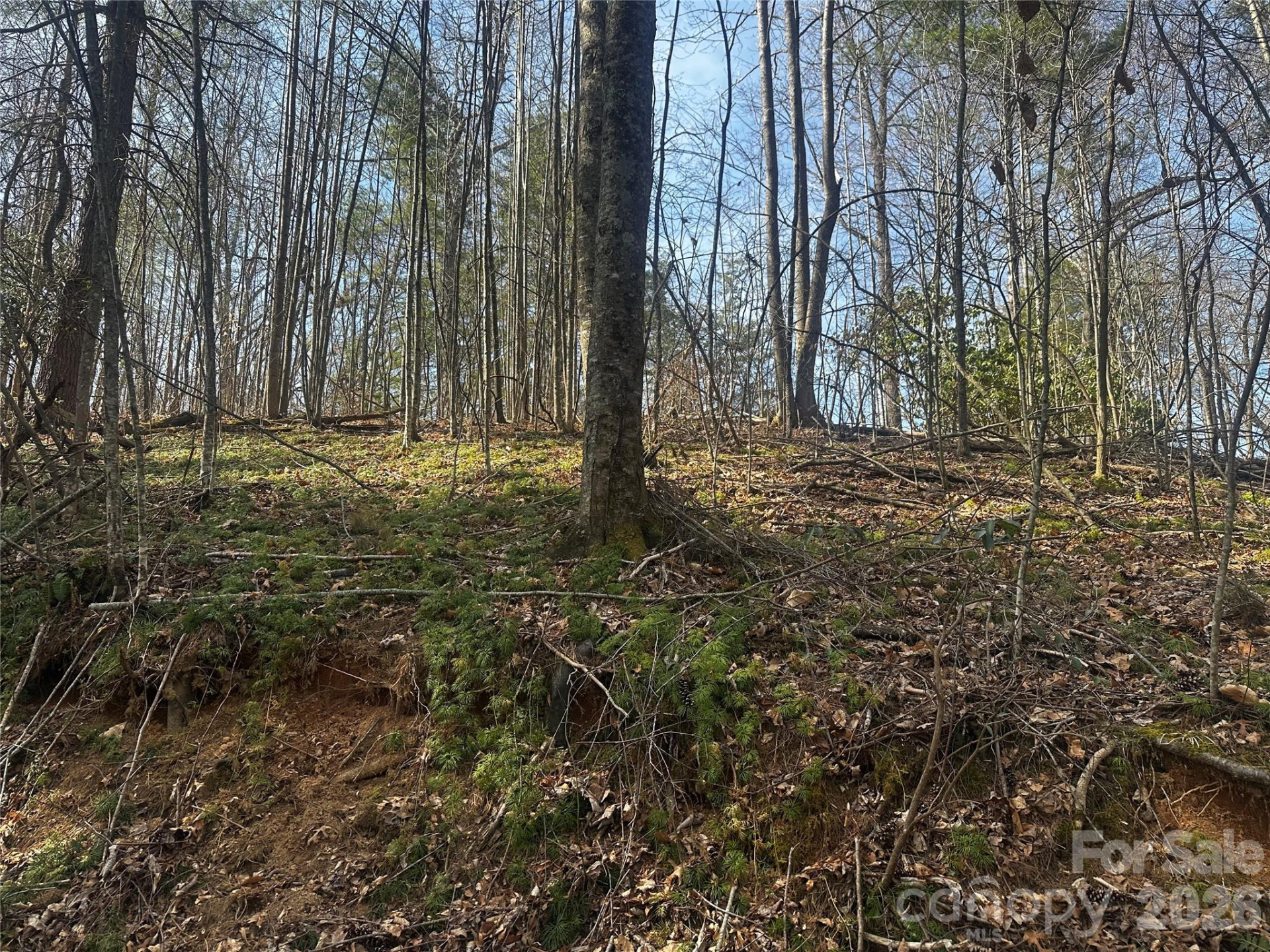 00 Saw Mill Hollow - Photo 14
