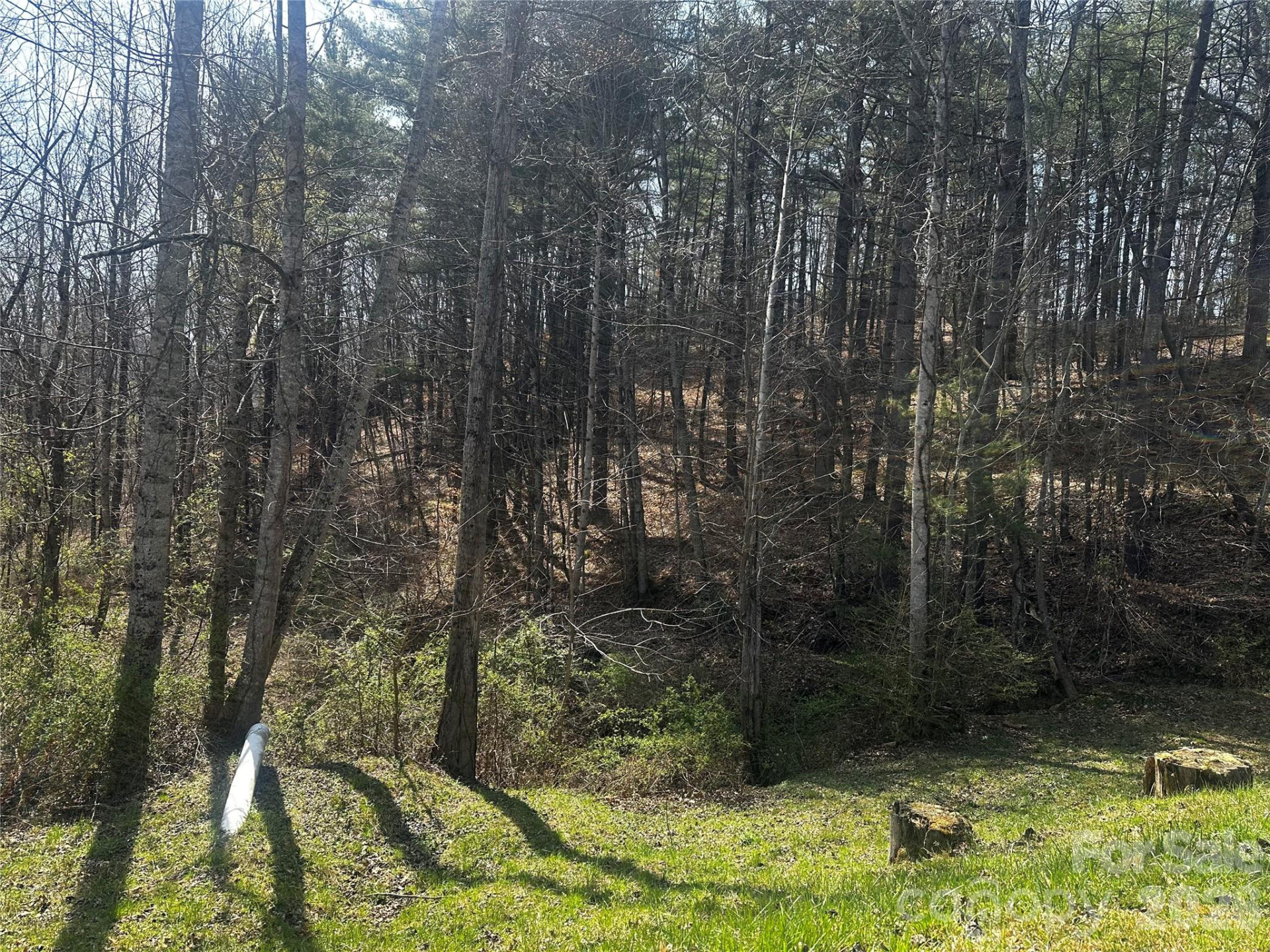 00 Saw Mill Hollow - Photo 15