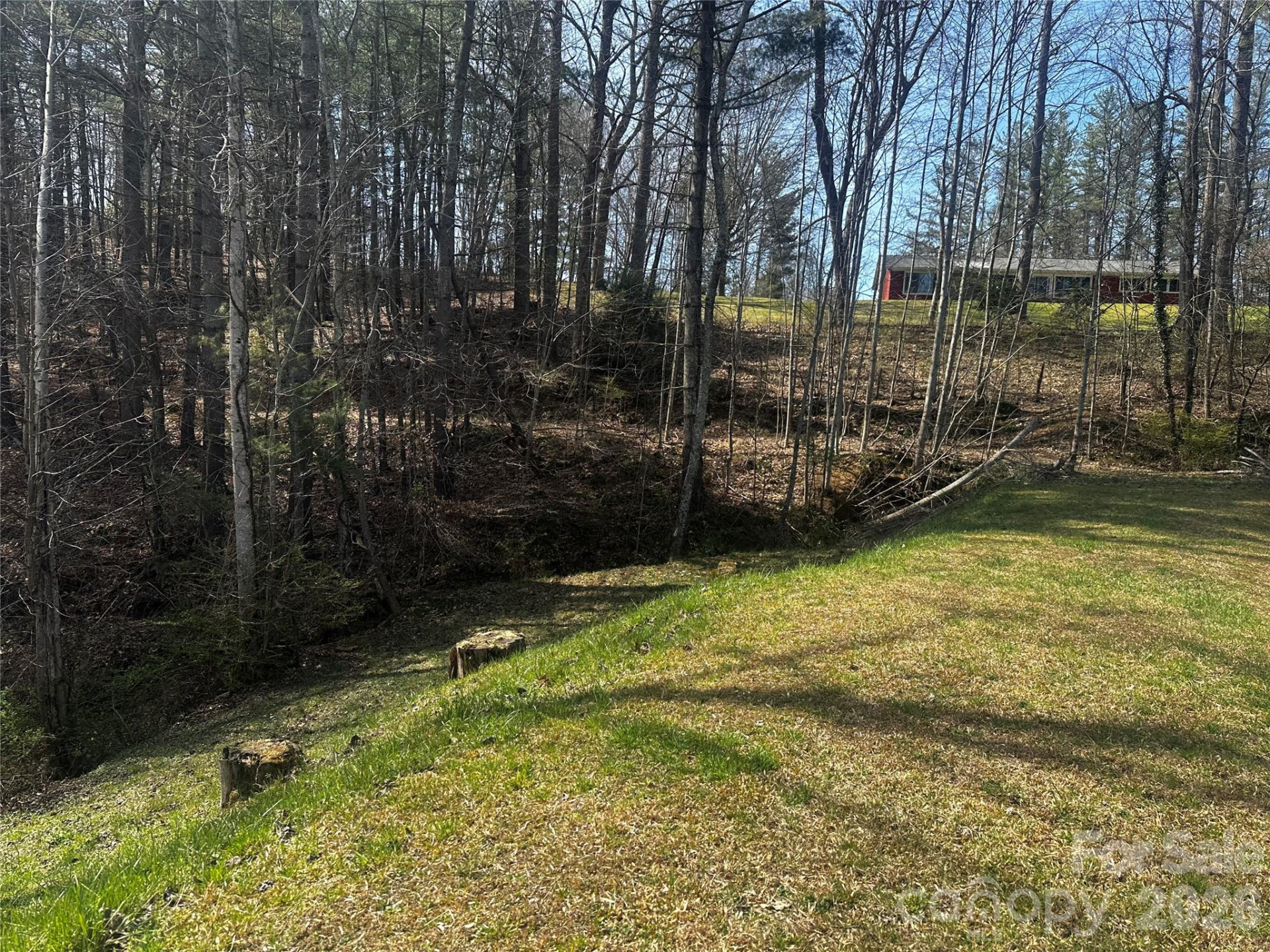 00 Saw Mill Hollow - Photo 16