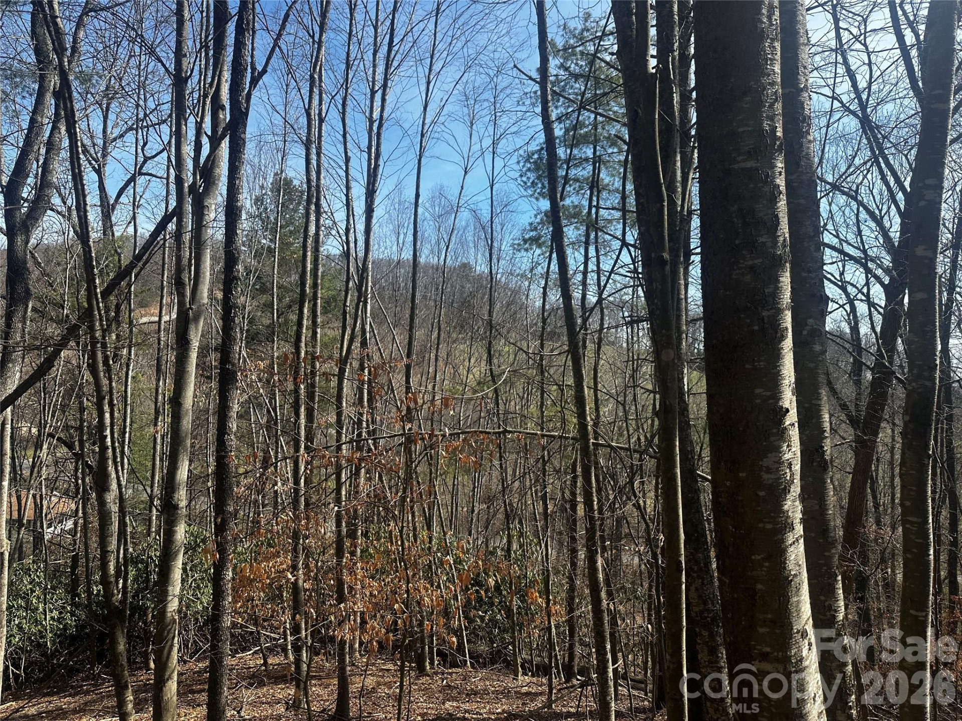 00 Saw Mill Hollow - Photo 3