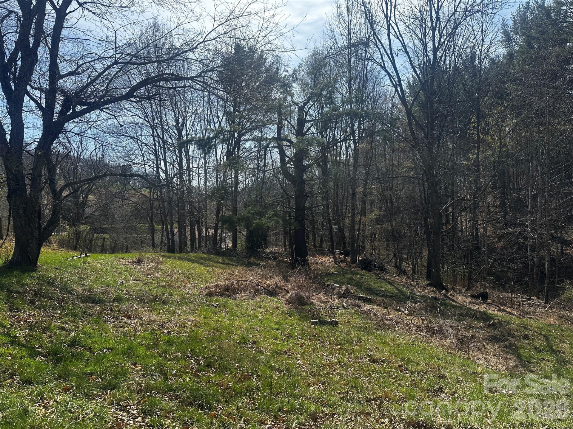 00 Saw Mill Hollow - Photo 4