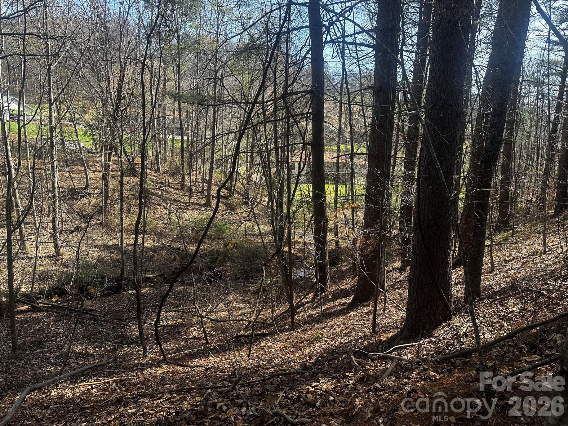 00 Saw Mill Hollow - Photo 5