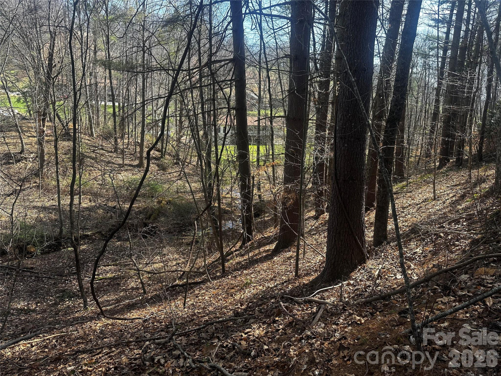 00 Saw Mill Hollow - Photo 6
