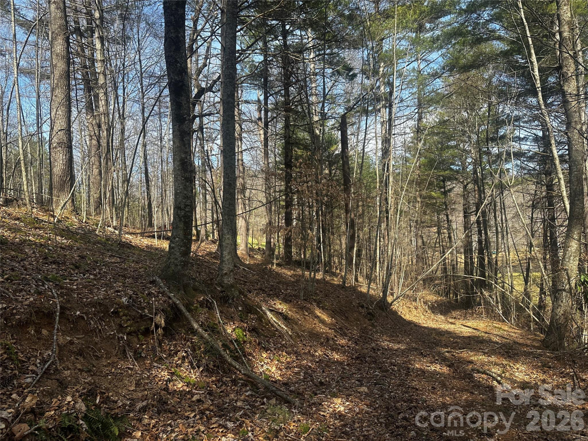00 Saw Mill Hollow - Photo 7