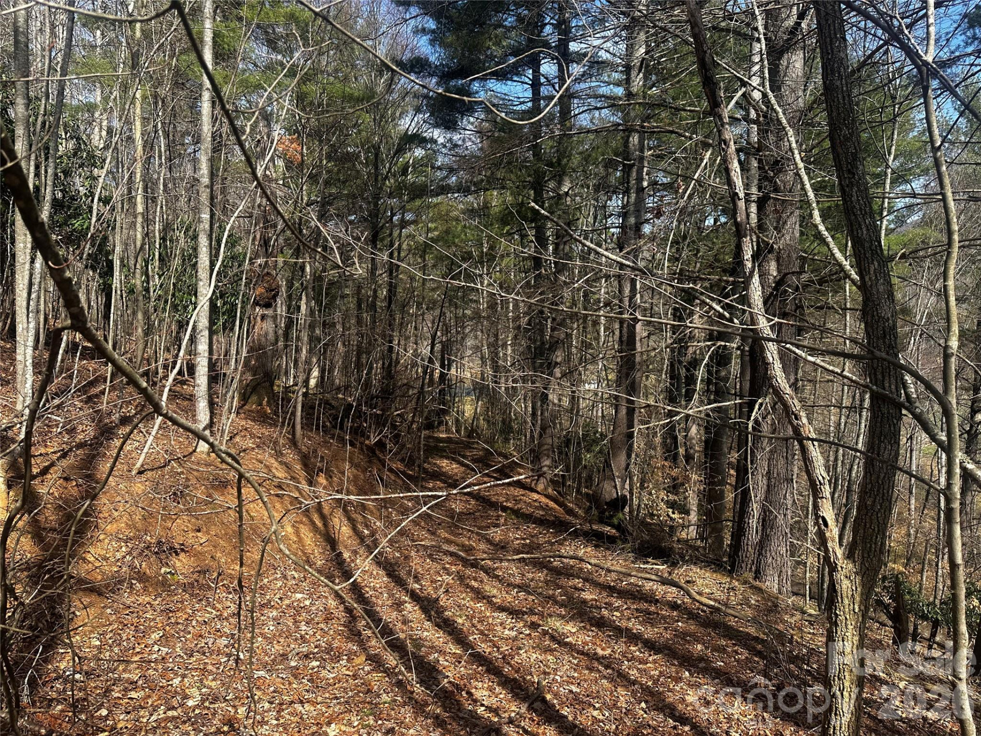 00 Saw Mill Hollow - Photo 9