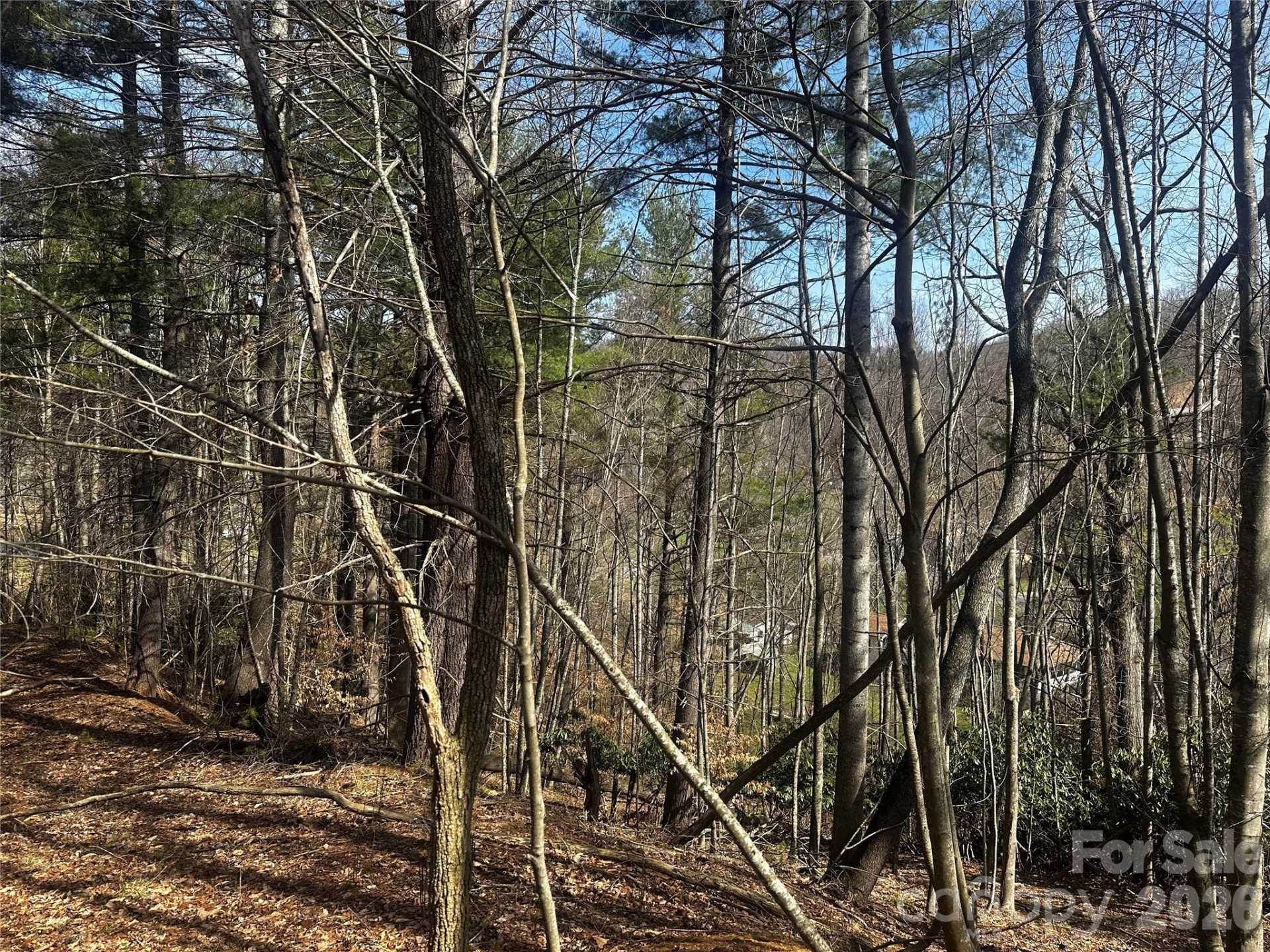 00 Saw Mill Hollow - Photo 10