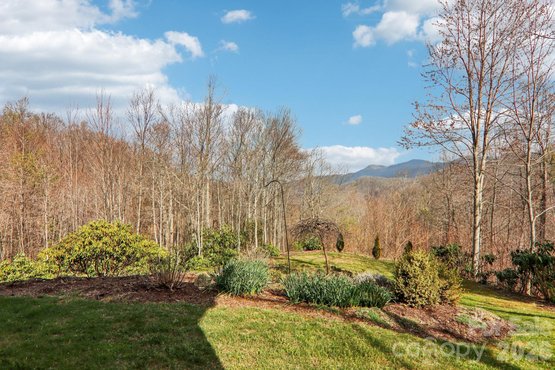 14 Chandra Lane - Photo 39