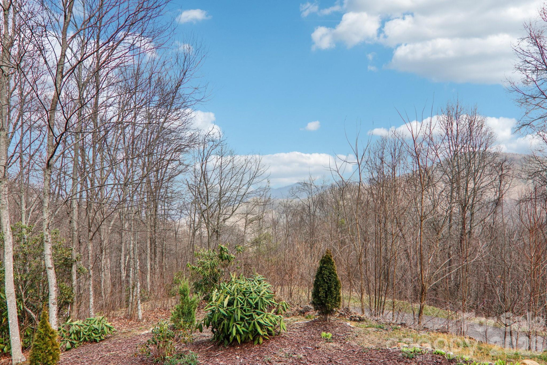 14 Chandra Lane - Photo 40