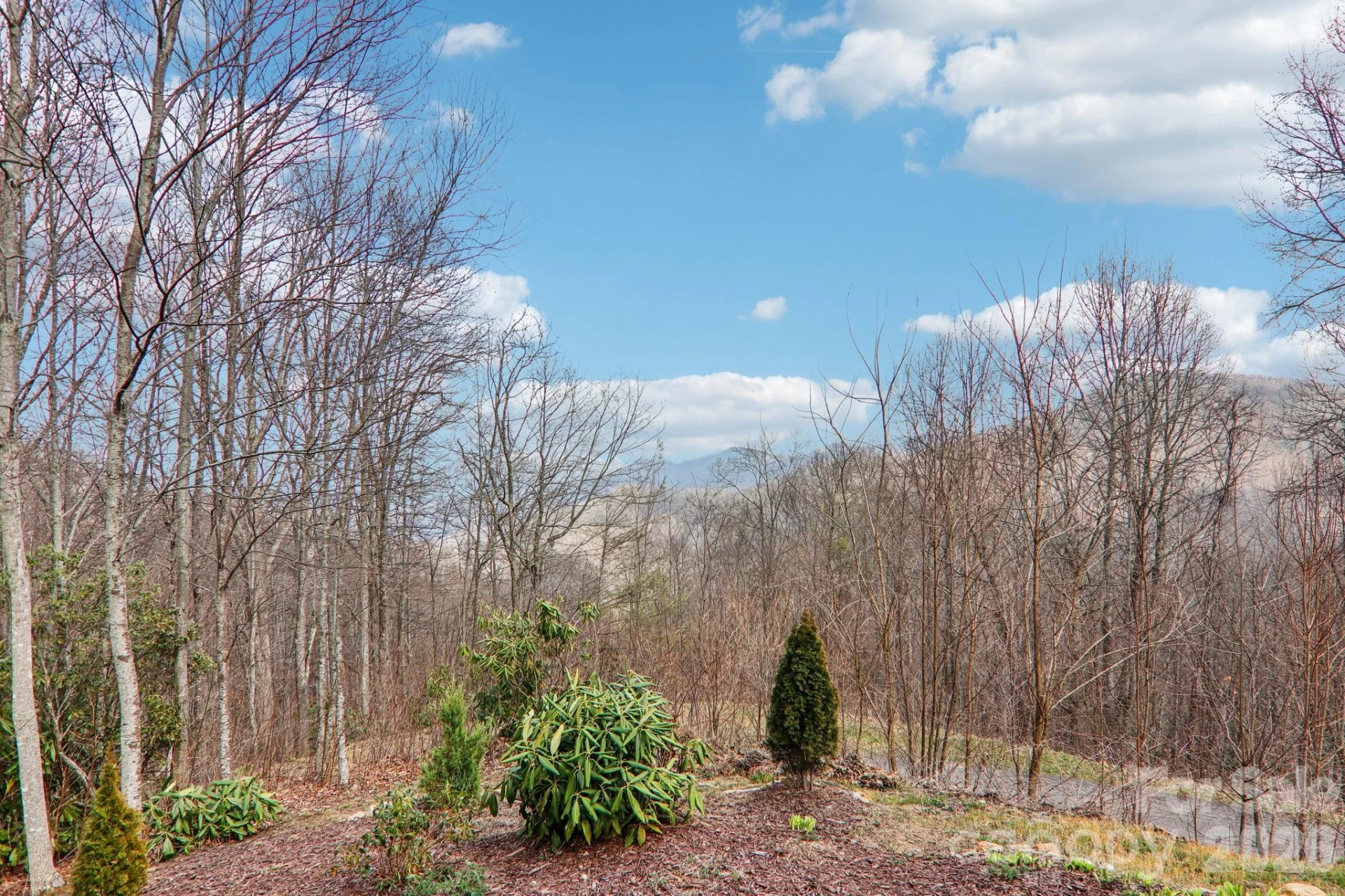 14 Chandra Lane - Photo 41
