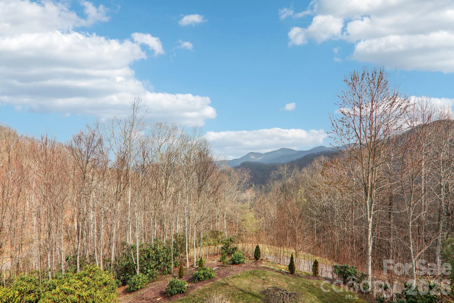 14 Chandra Lane - Photo 42