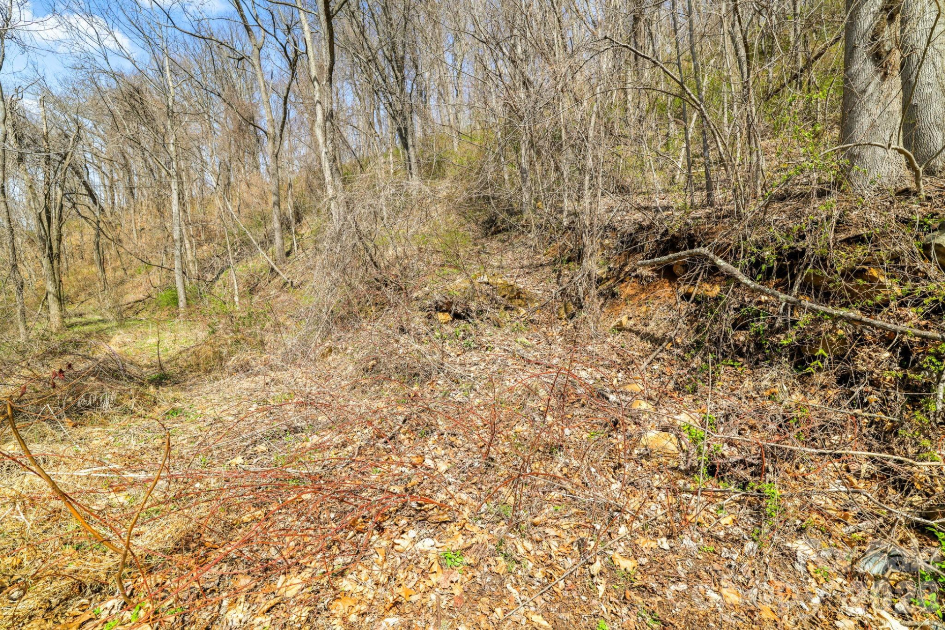 00 Panorama Drive #16 - Photo 5