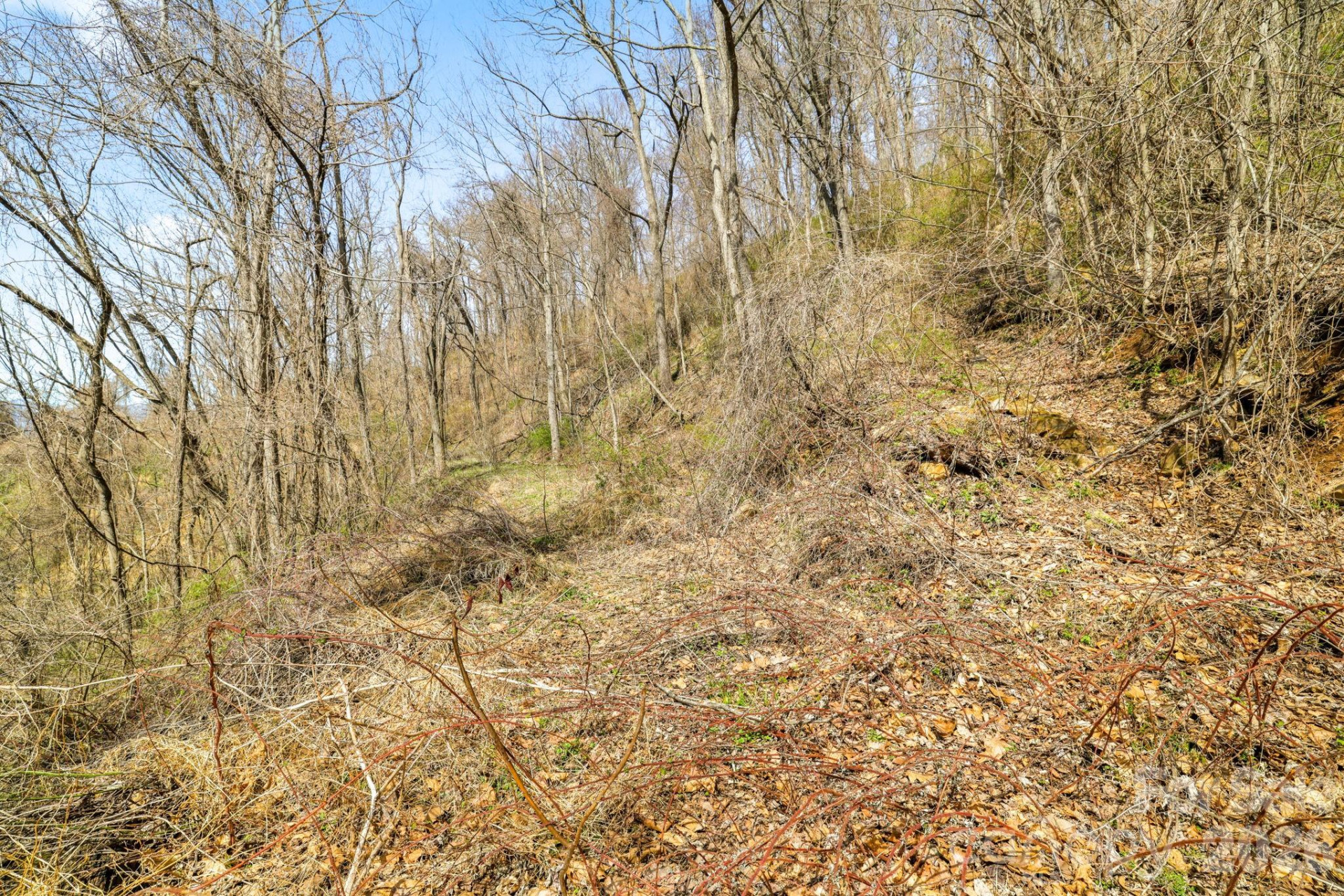 00 Panorama Drive #16 - Photo 6