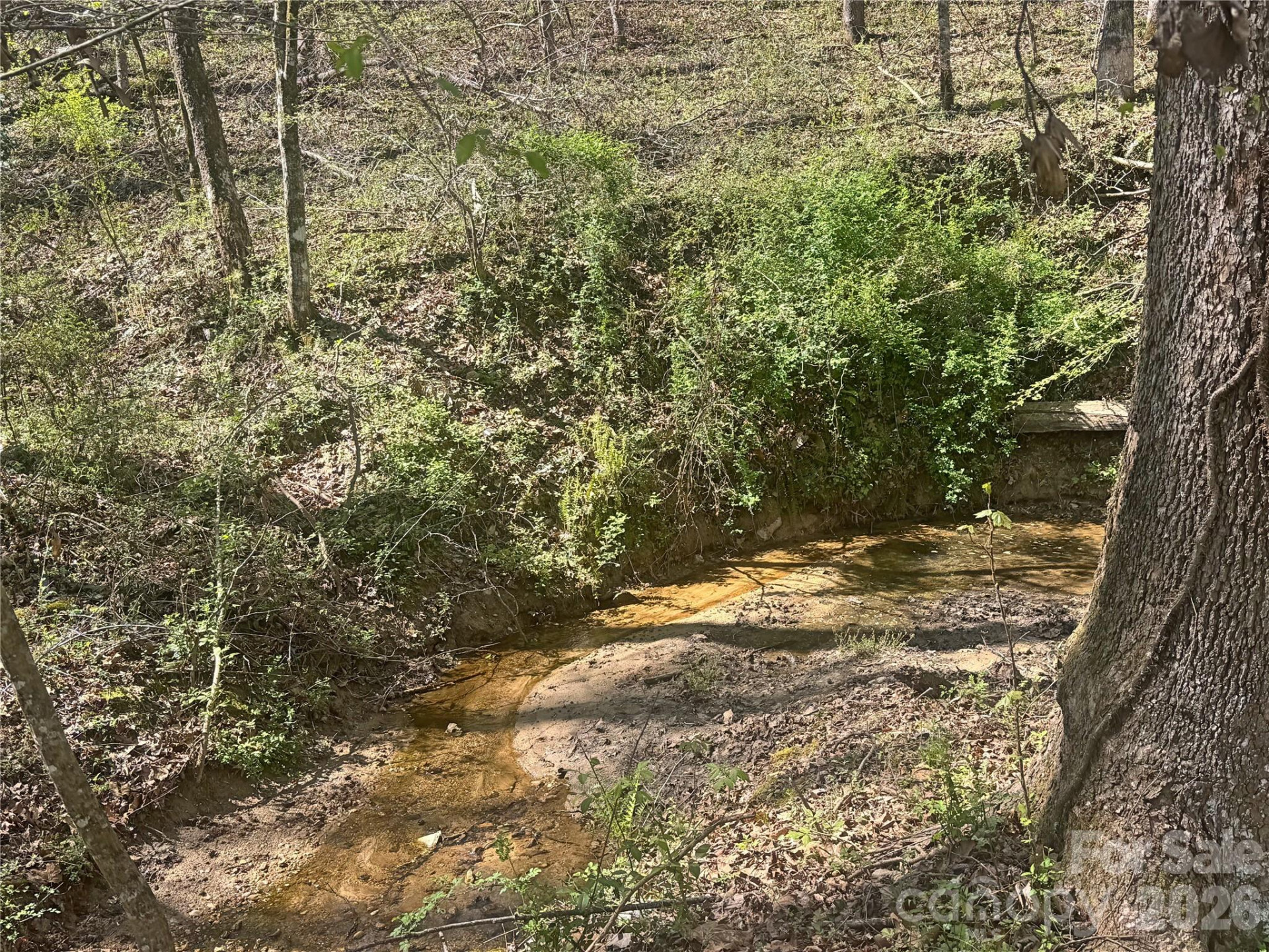 231 Pearidge Road - Photo 21