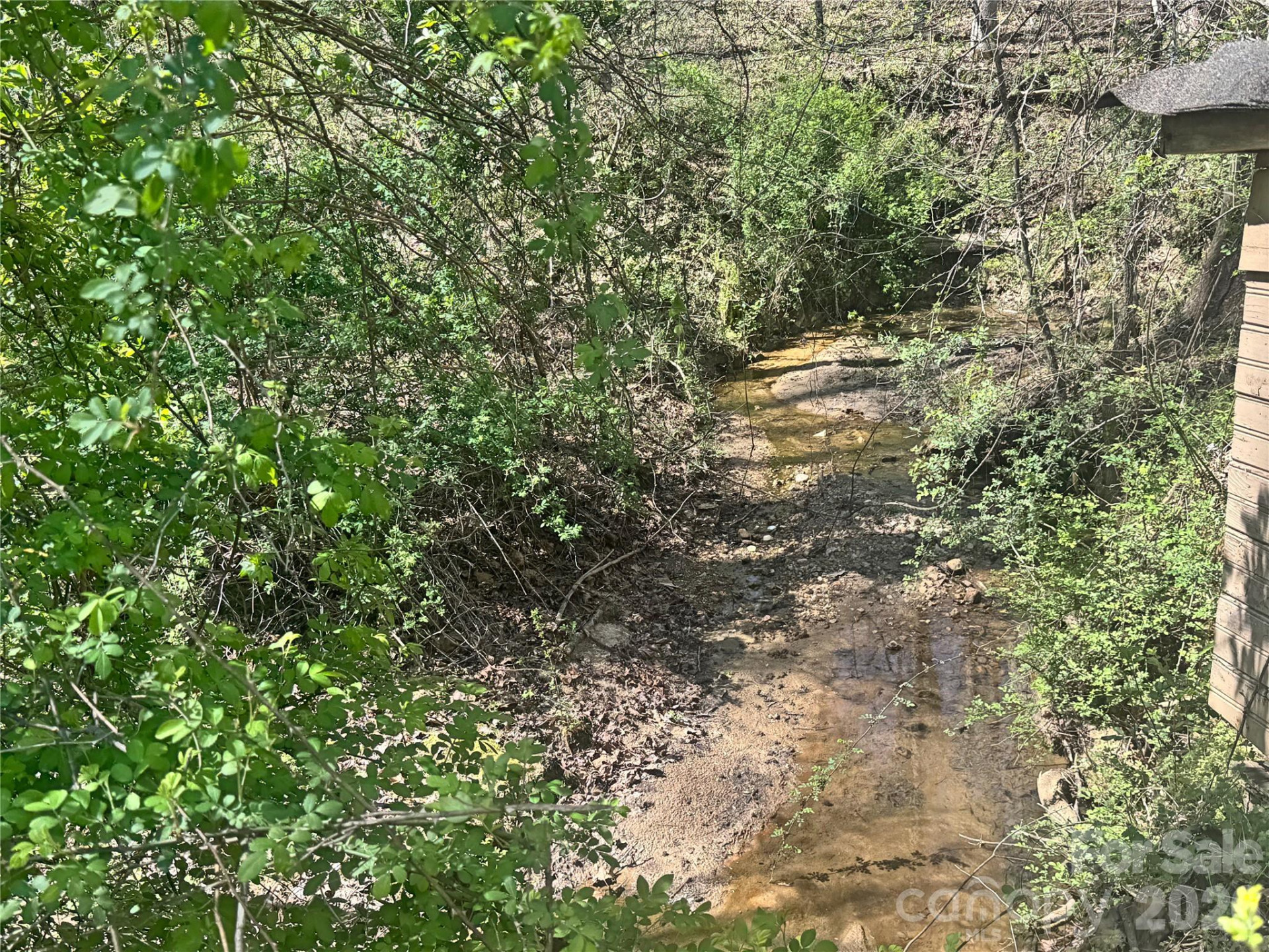 231 Pearidge Road - Photo 25