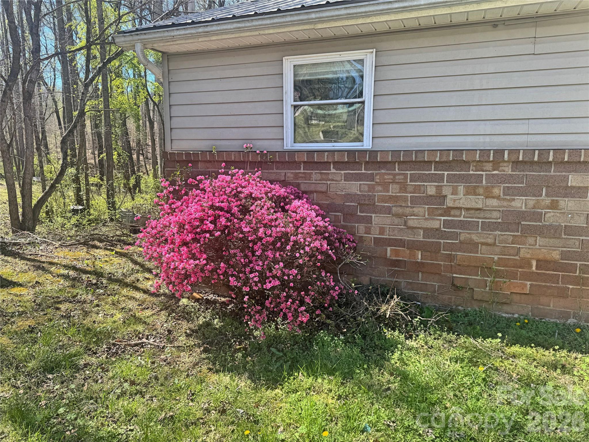 231 Pearidge Road - Photo 27