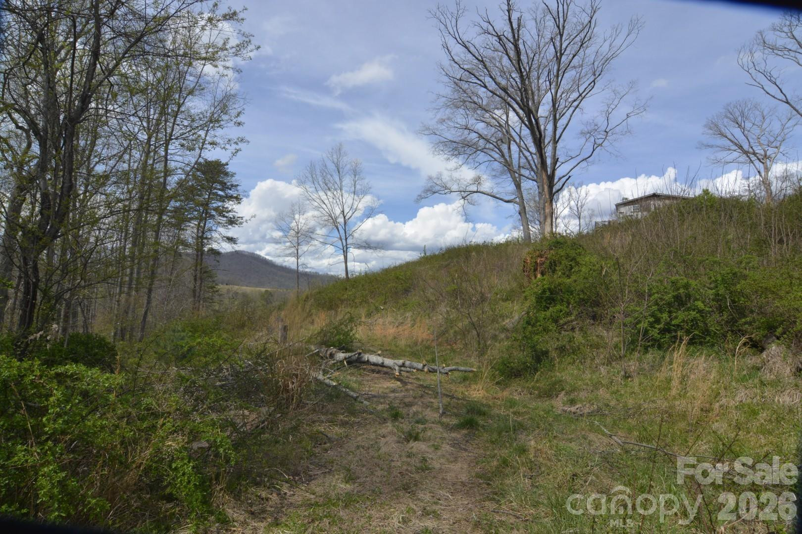 535 Old Newfound Road - Photo 4