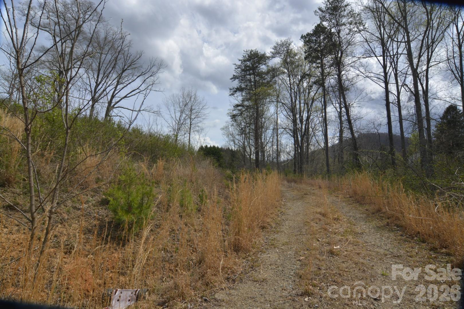 535 Old Newfound Road - Photo 5