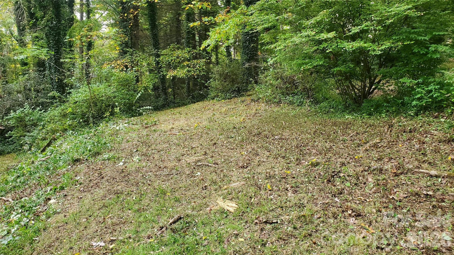 1 Main Entrance Street - Photo 14