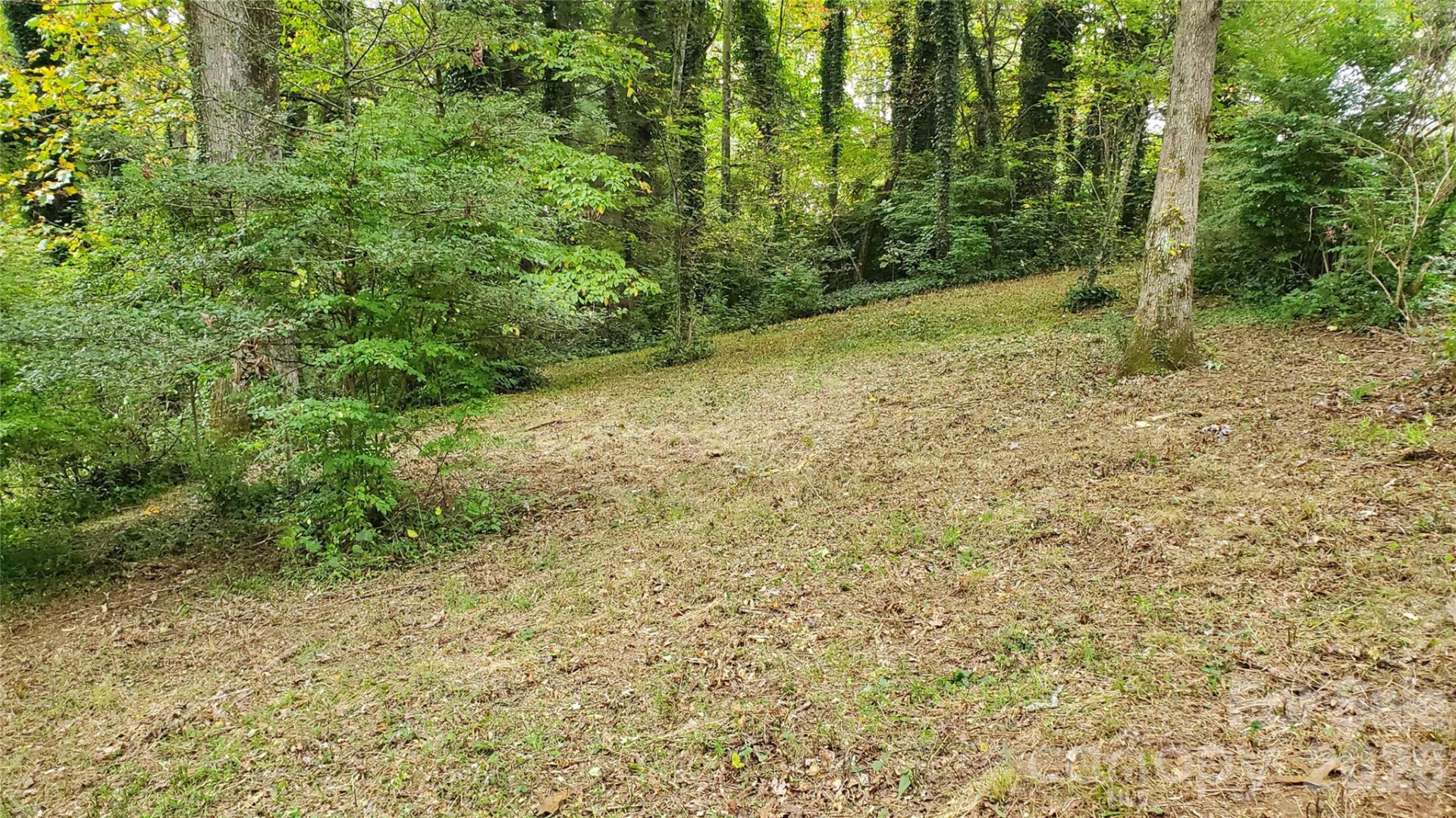 1 Main Entrance Street - Photo 15