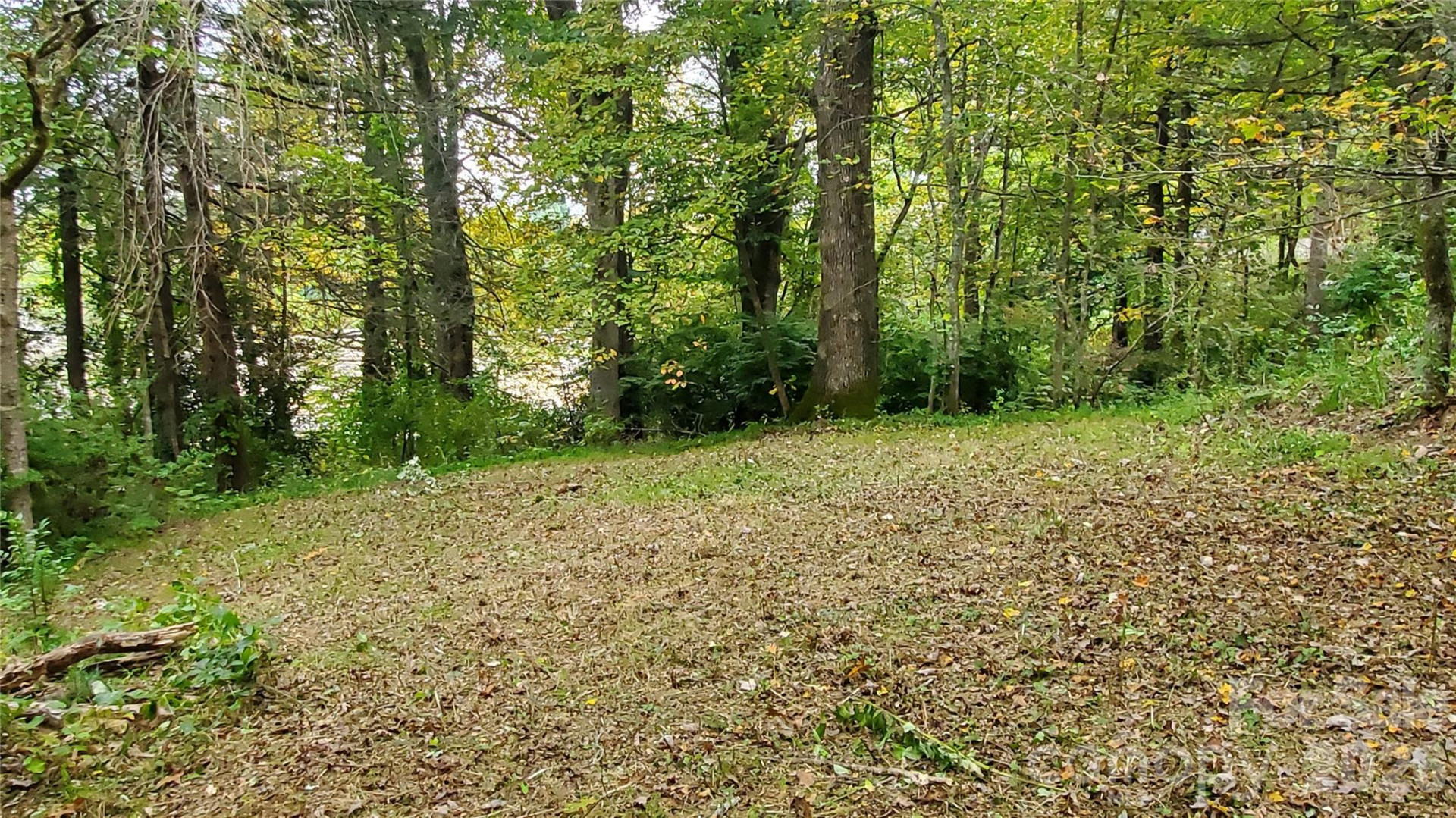 1 Main Entrance Street - Photo 6