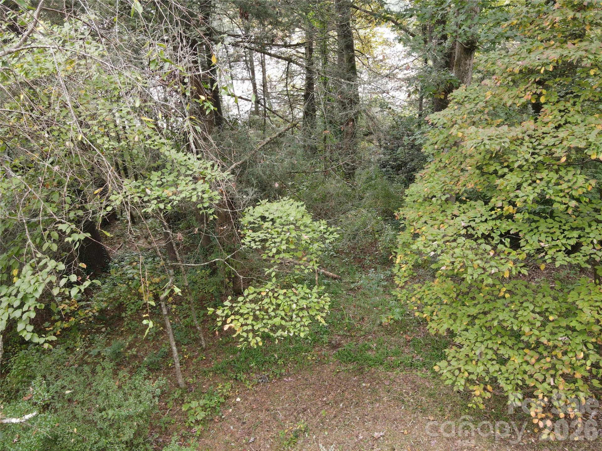 1 Main Entrance Street - Photo 9