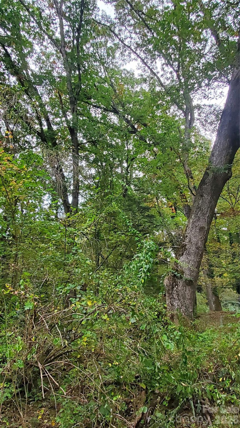 1 Main Entrance Street - Photo 10