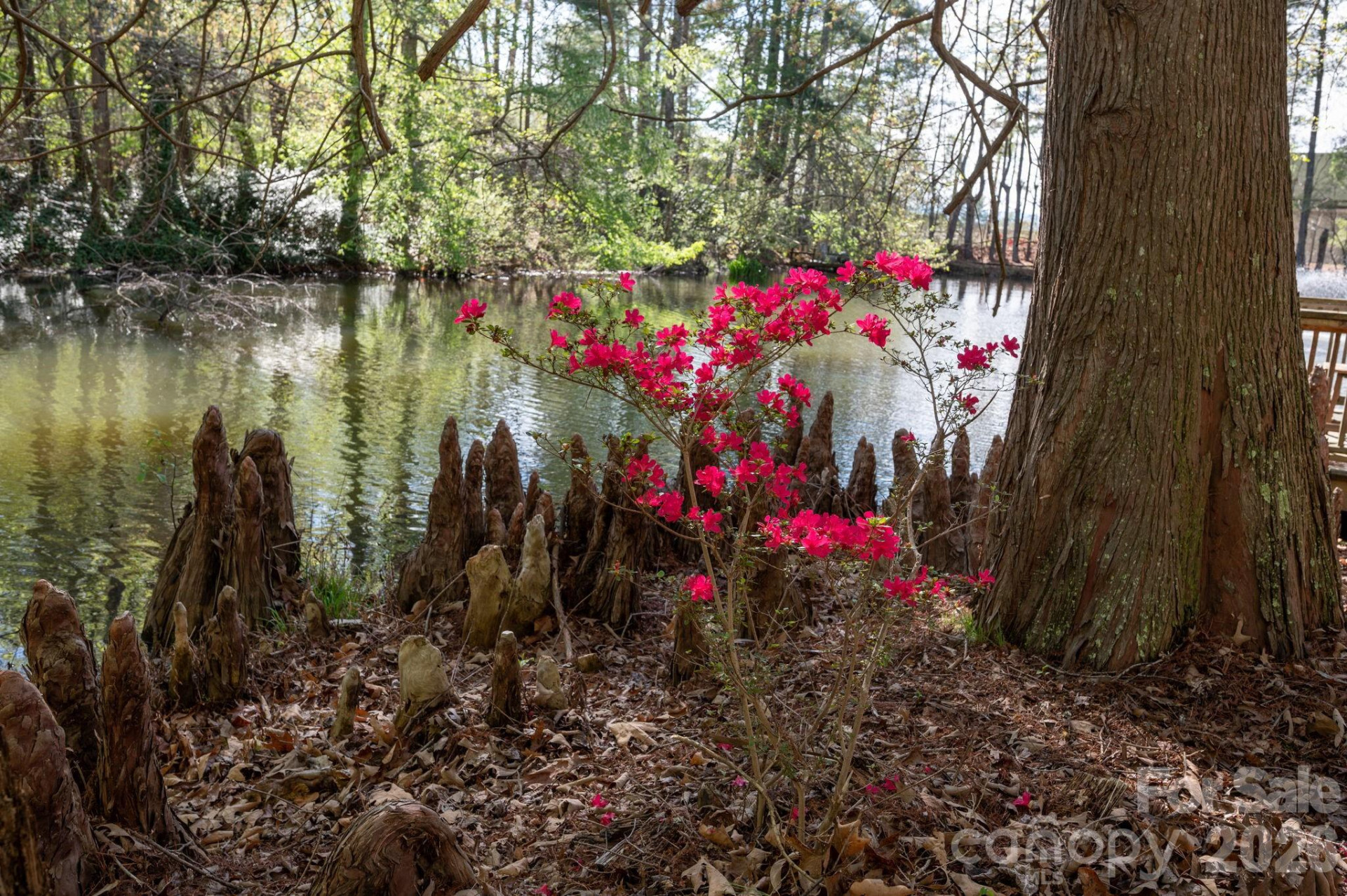111 Hidden Pond Lane - Photo 26