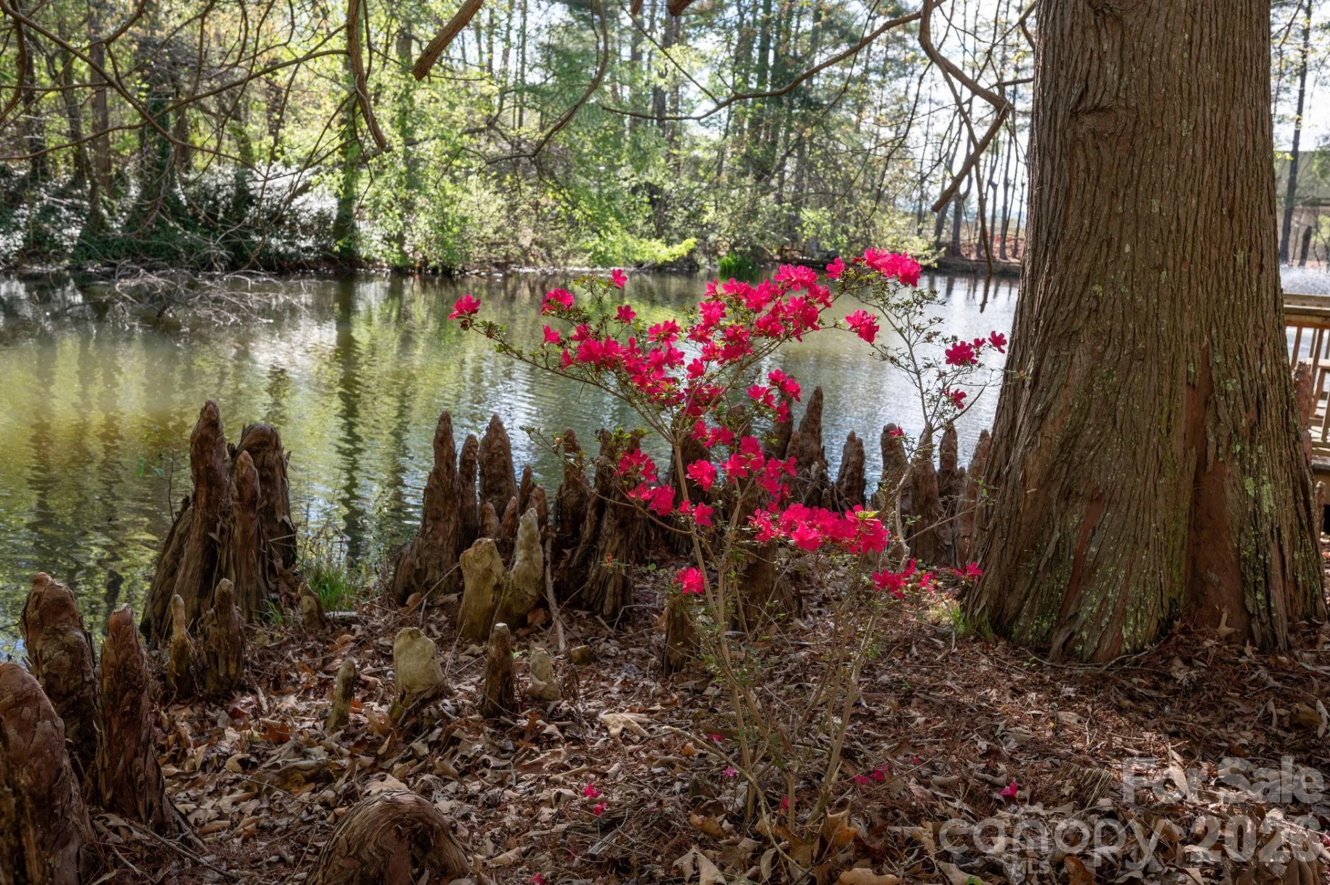 111 Hidden Pond Lane - Photo 26