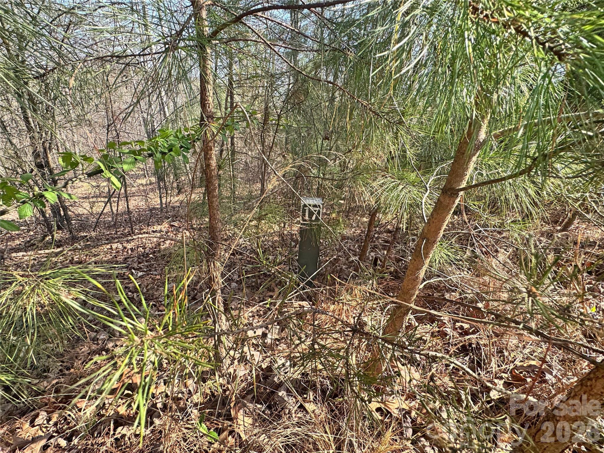 VL Amberwood Place #17 - Photo 14