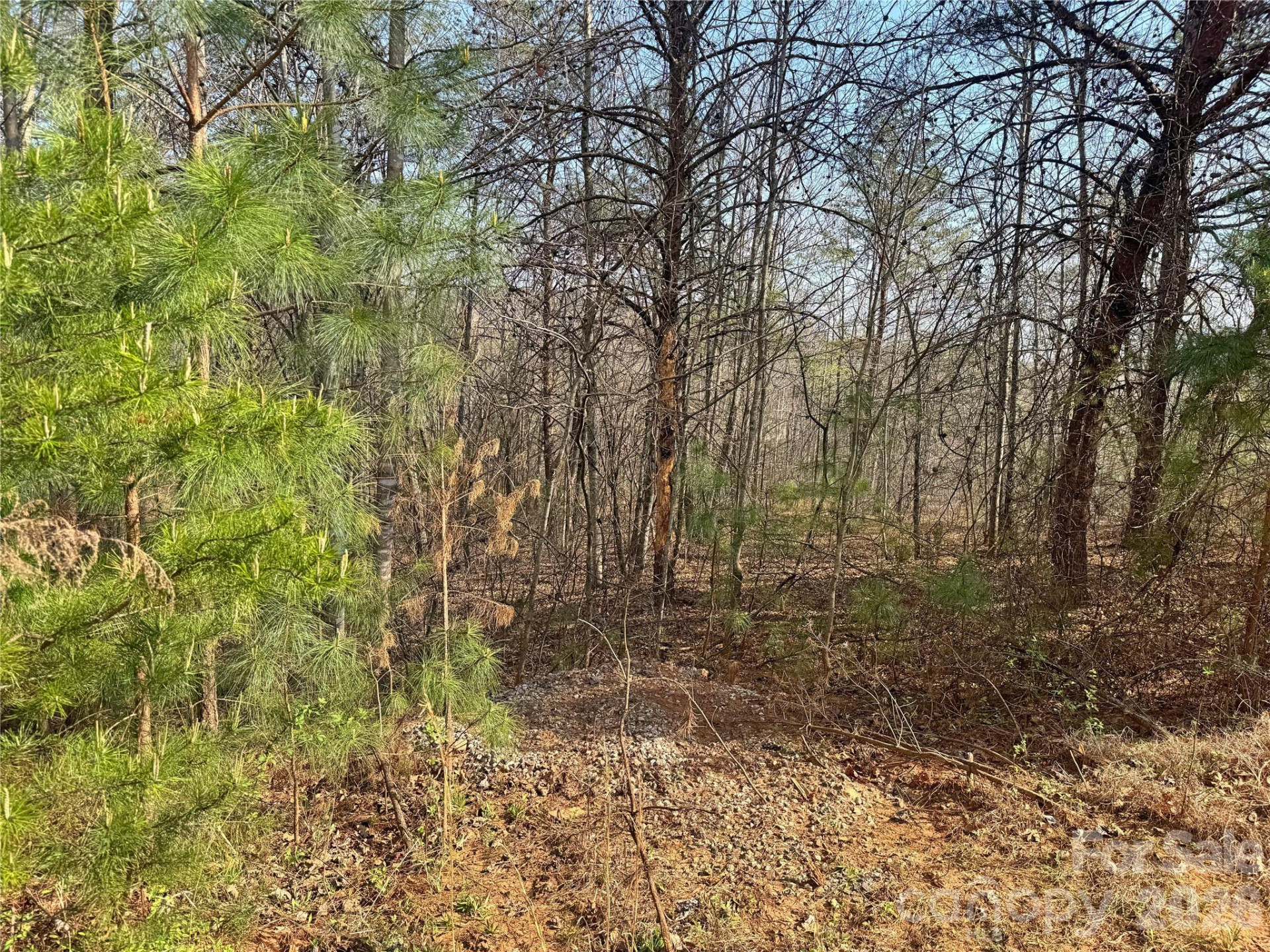 VL Amberwood Place #17 - Photo 15