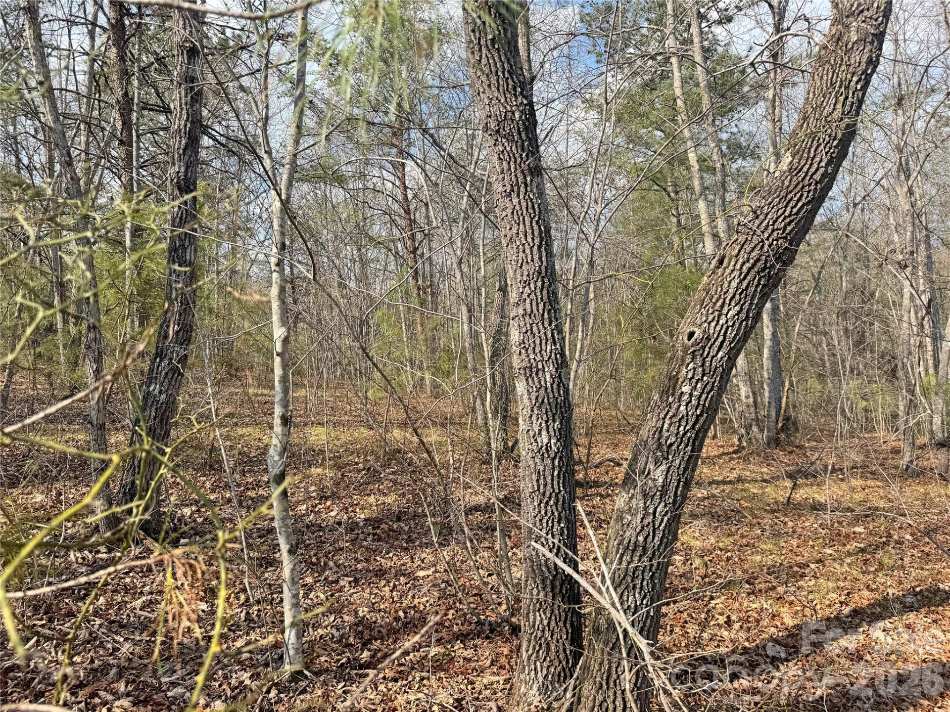 VL Amberwood Place #17 - Photo 16