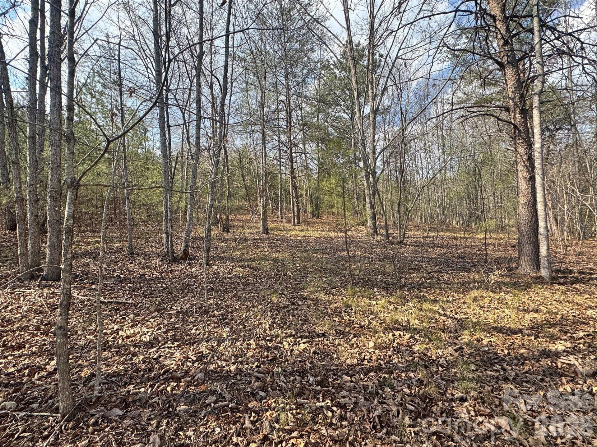 VL Amberwood Place #17 - Photo 17