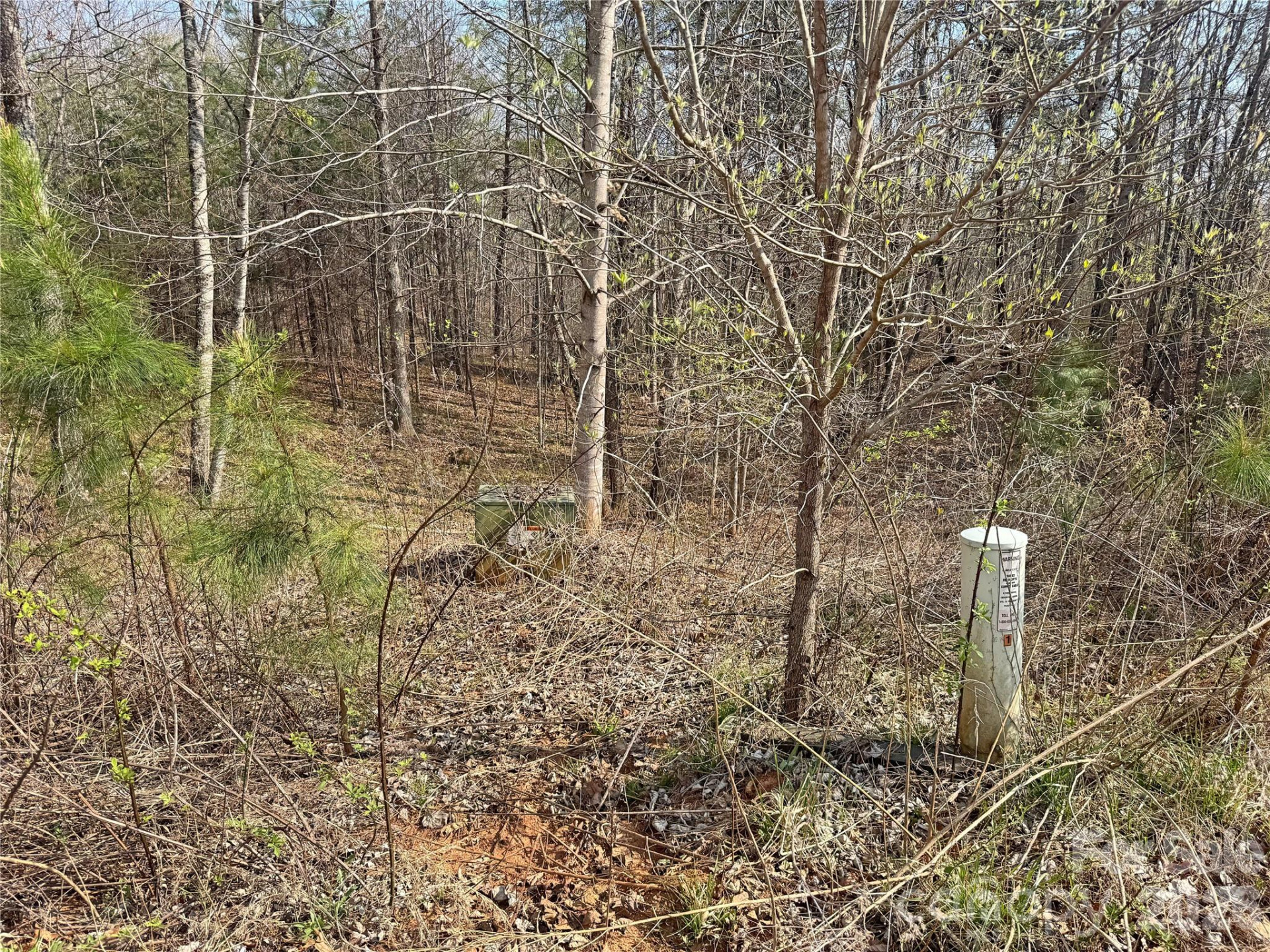 VL Amberwood Place #17 - Photo 3