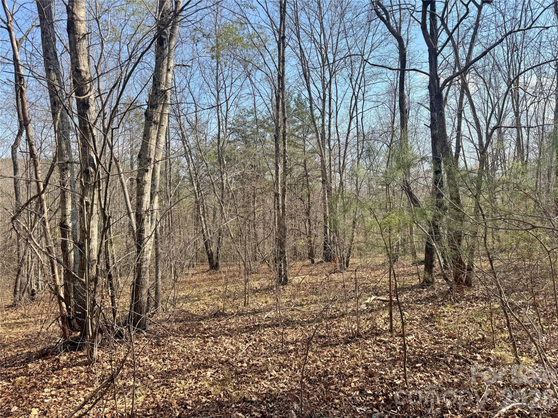 VL Amberwood Place #17 - Photo 8