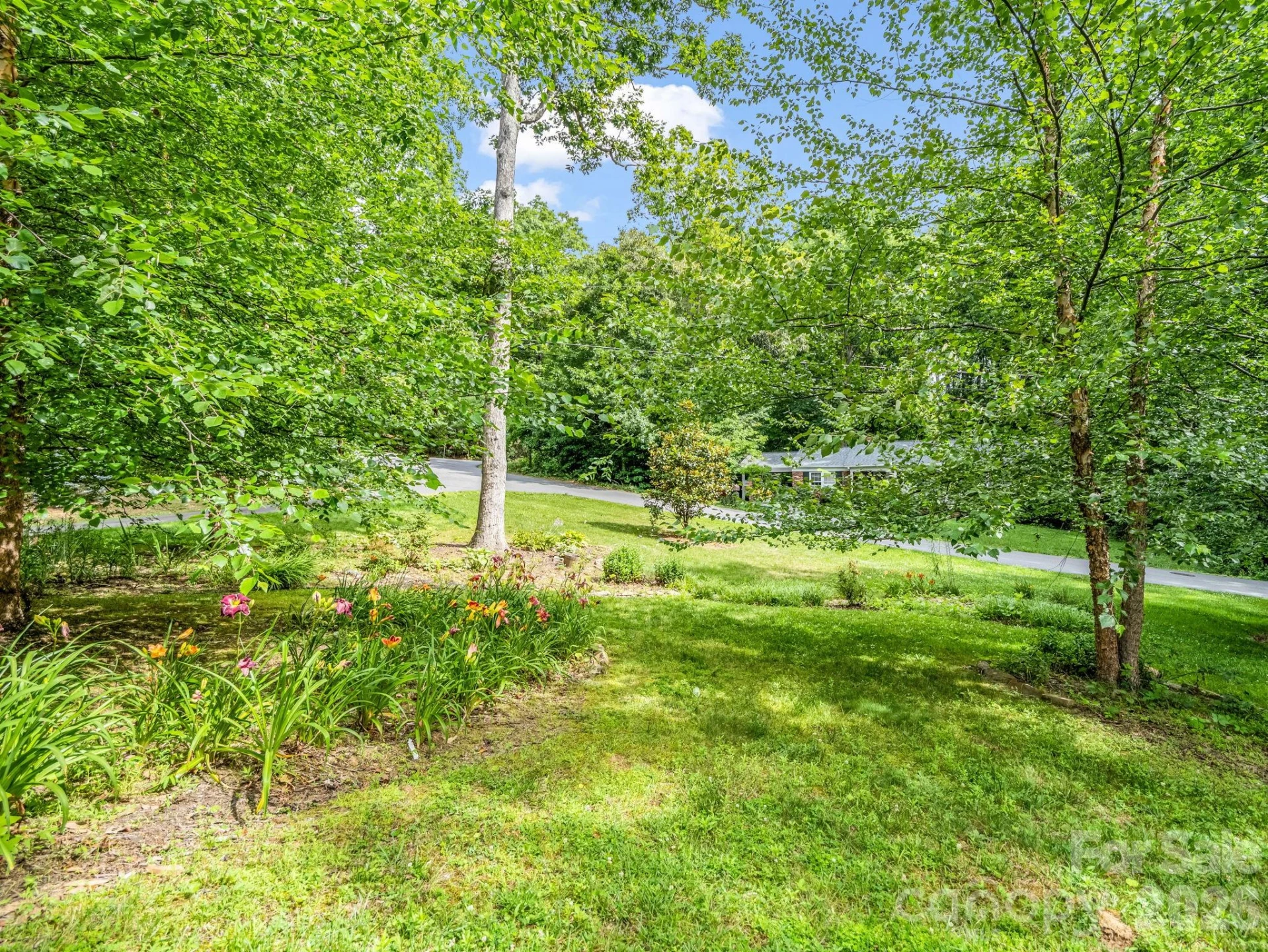111 Dogwood Drive - Photo 11