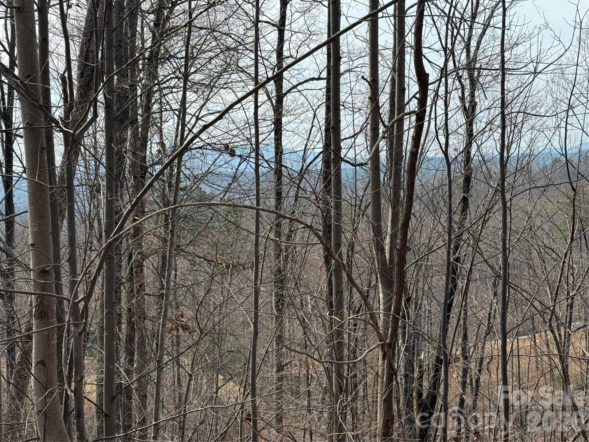 Lot 236 Rock Ledge Drive - Photo 2