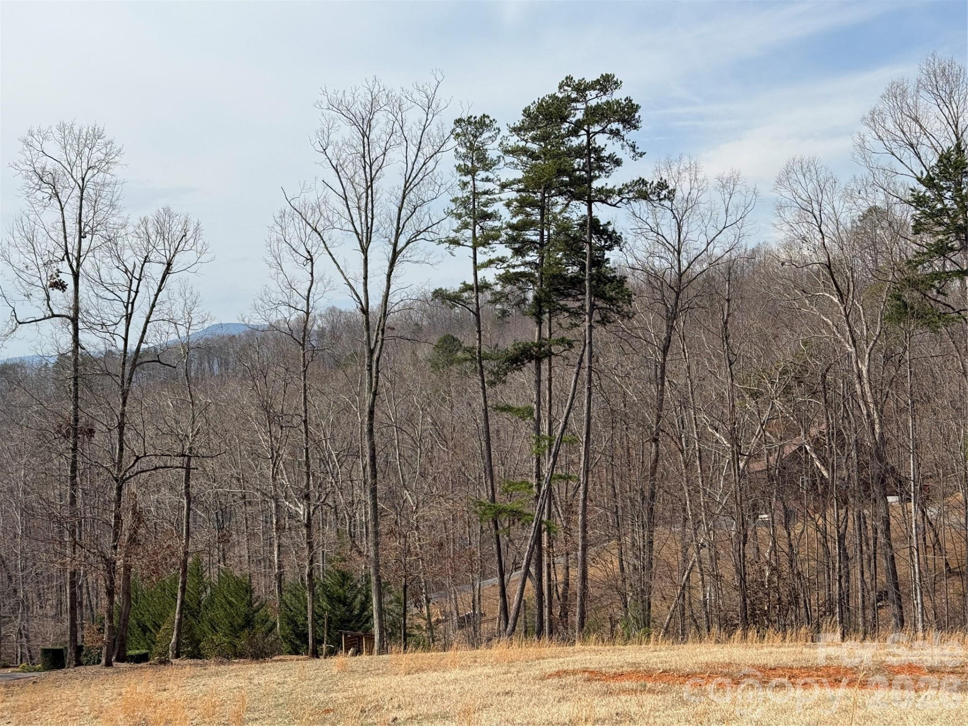 Lot 236 Rock Ledge Drive - Photo 11