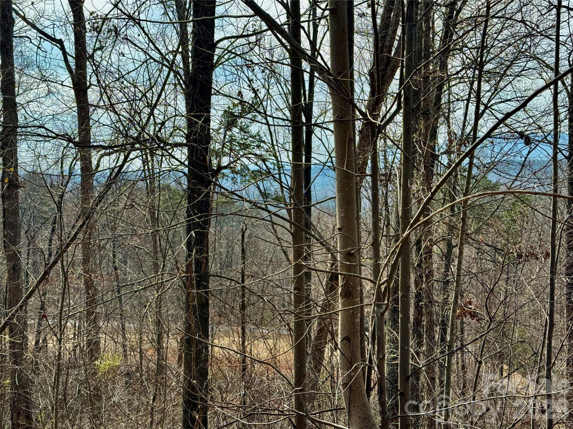 Lot 236 Rock Ledge Drive - Photo 19