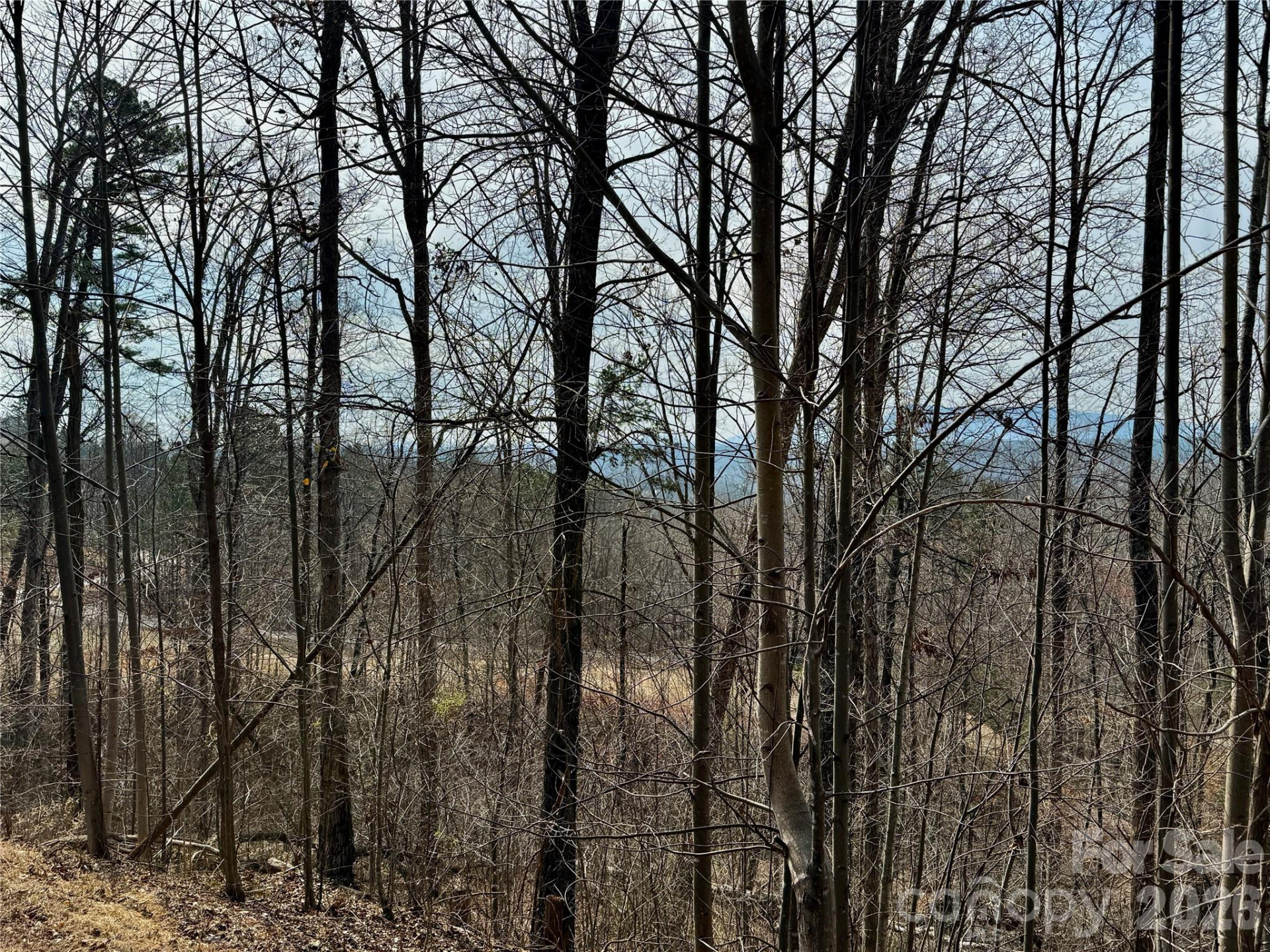 Lot 236 Rock Ledge Drive - Photo 20
