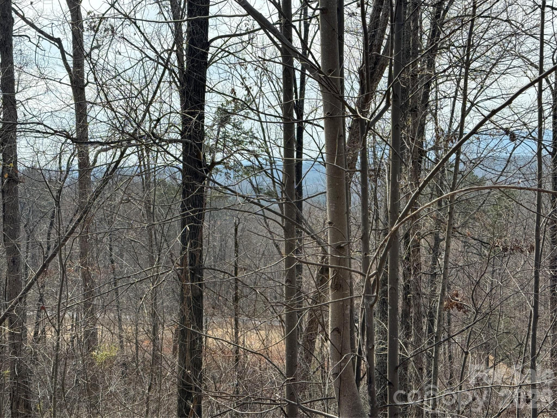 Lot 236 Rock Ledge Drive - Photo 3