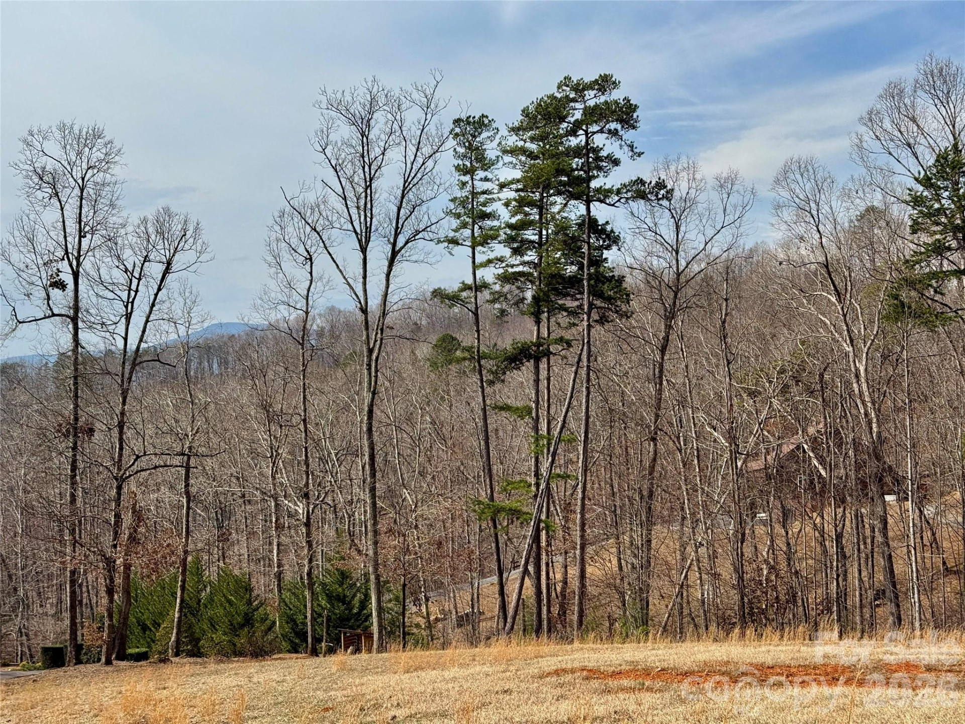 Lot 236 Rock Ledge Drive - Photo 21