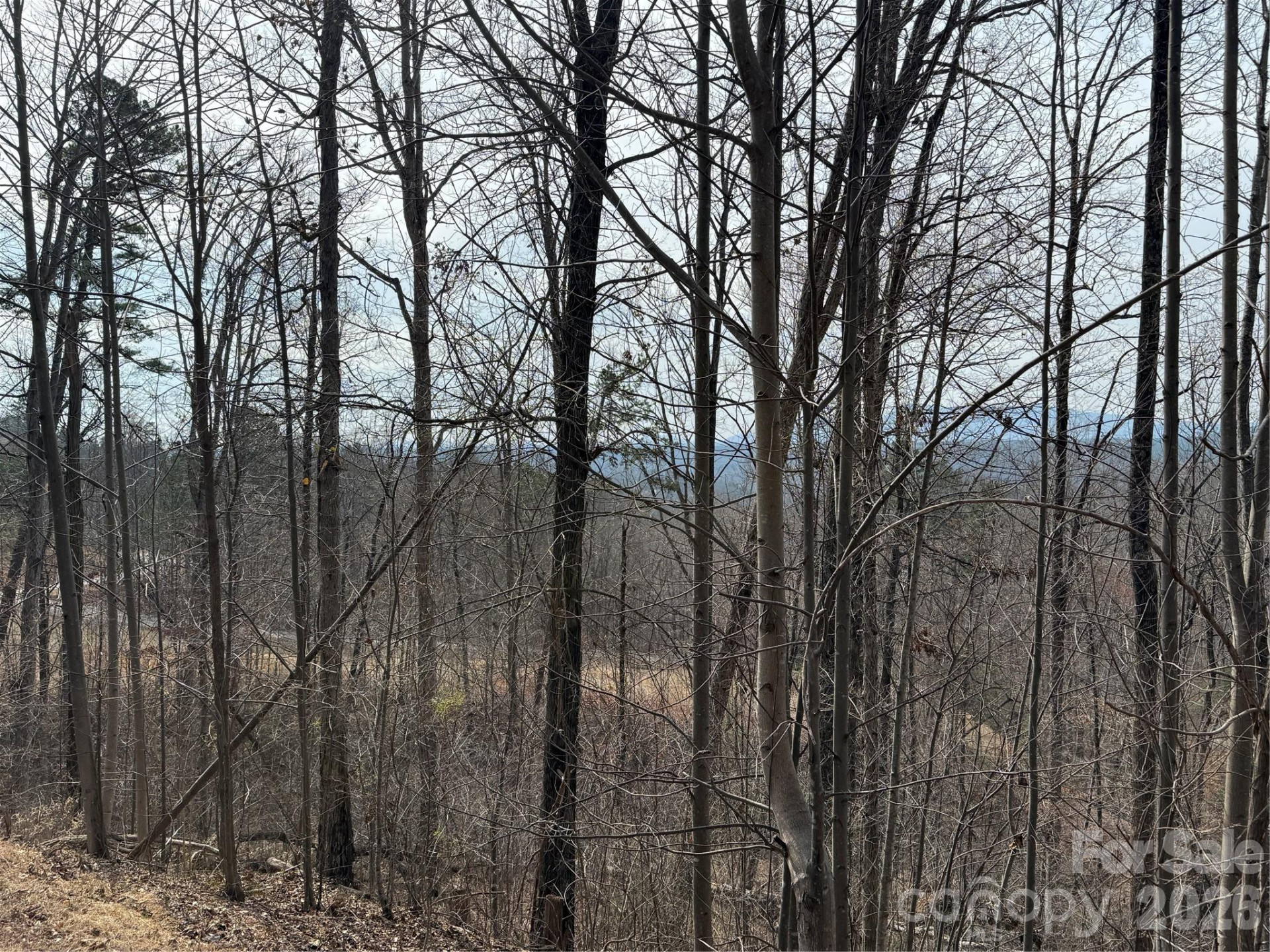 Lot 236 Rock Ledge Drive - Photo 4
