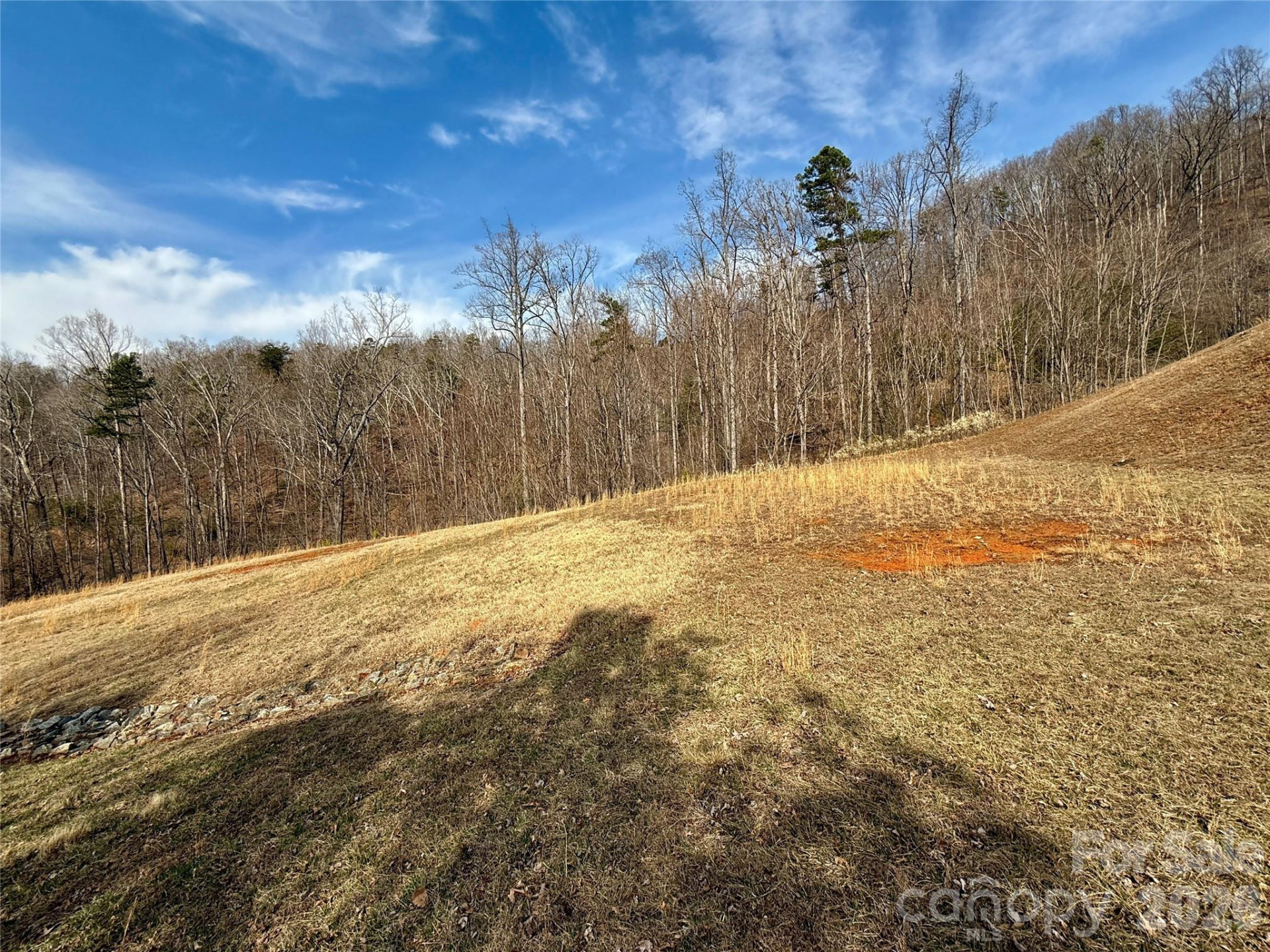 Lot 236 Rock Ledge Drive - Photo 6