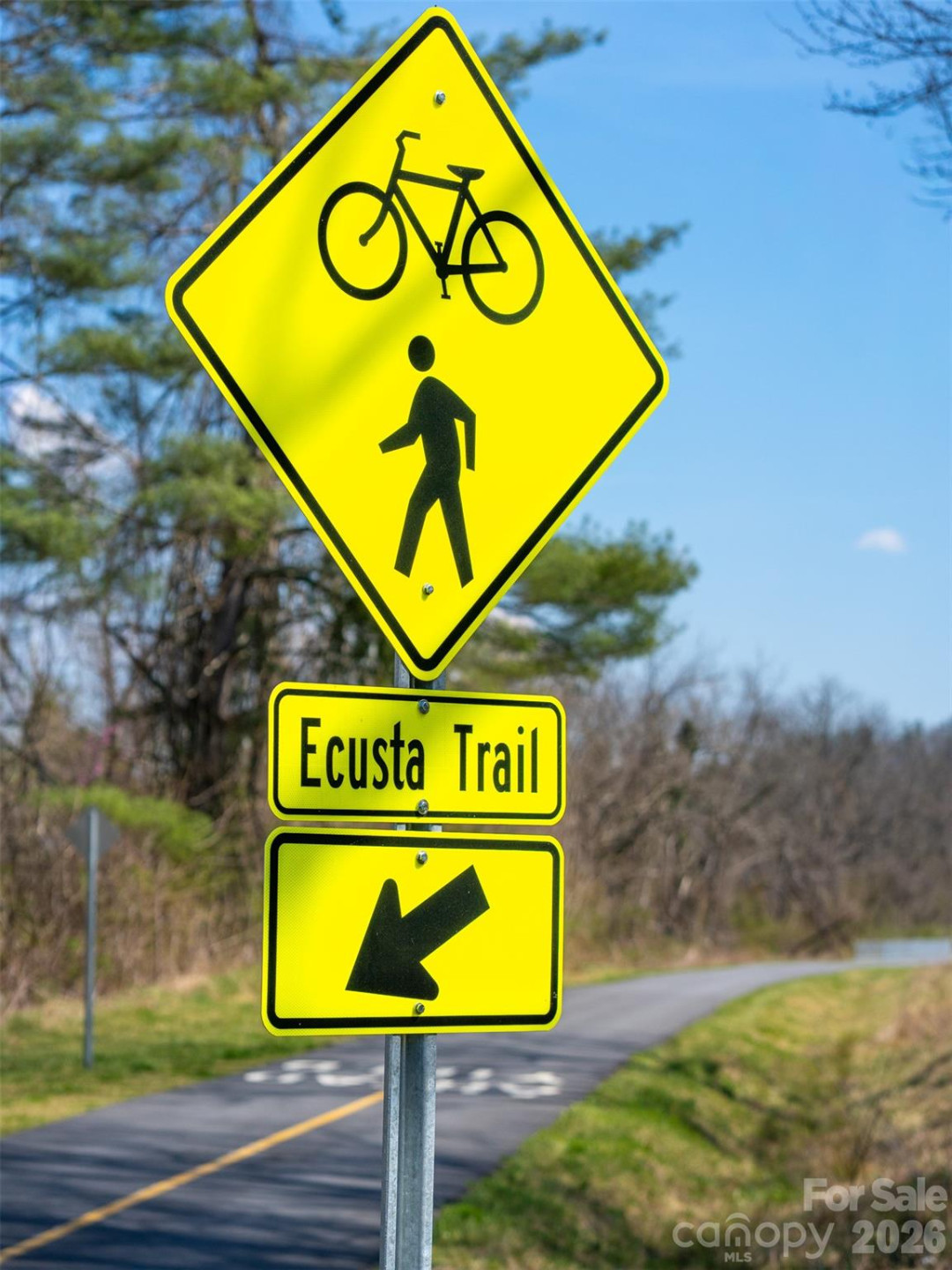 53 Yale Road - Photo 7