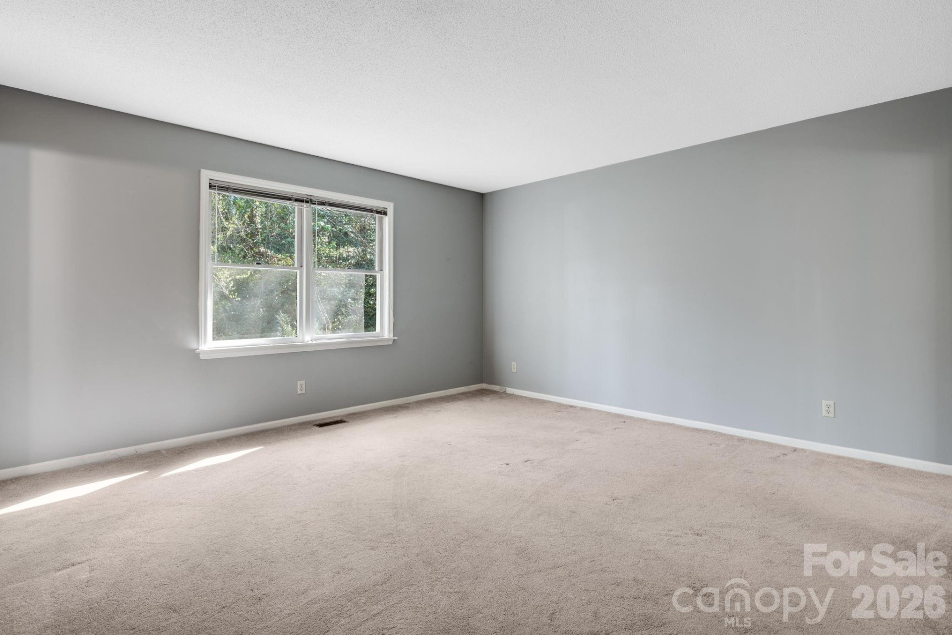 154 Surry Lane - Photo 8