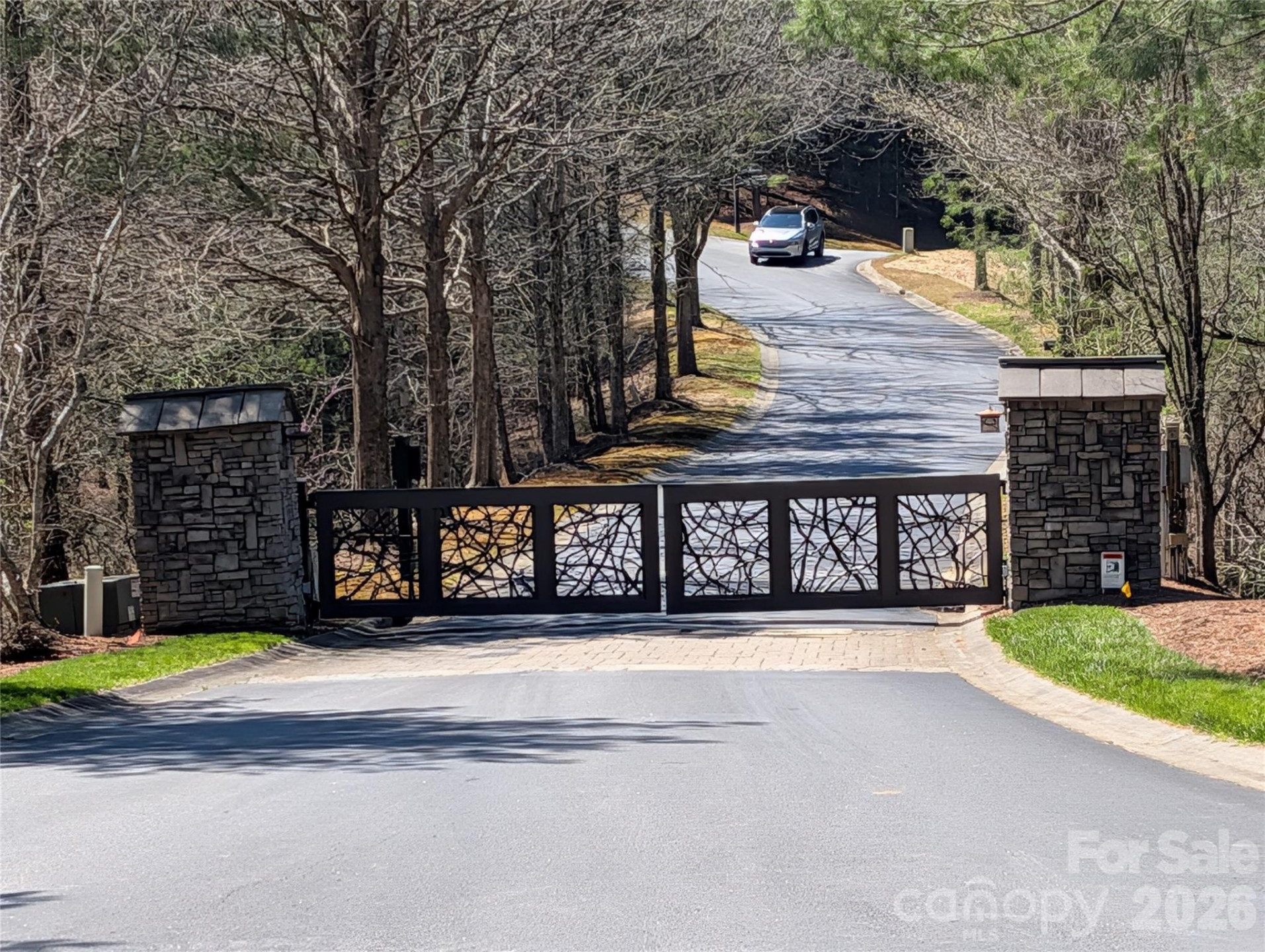 1094 Mills River Way - Photo 2