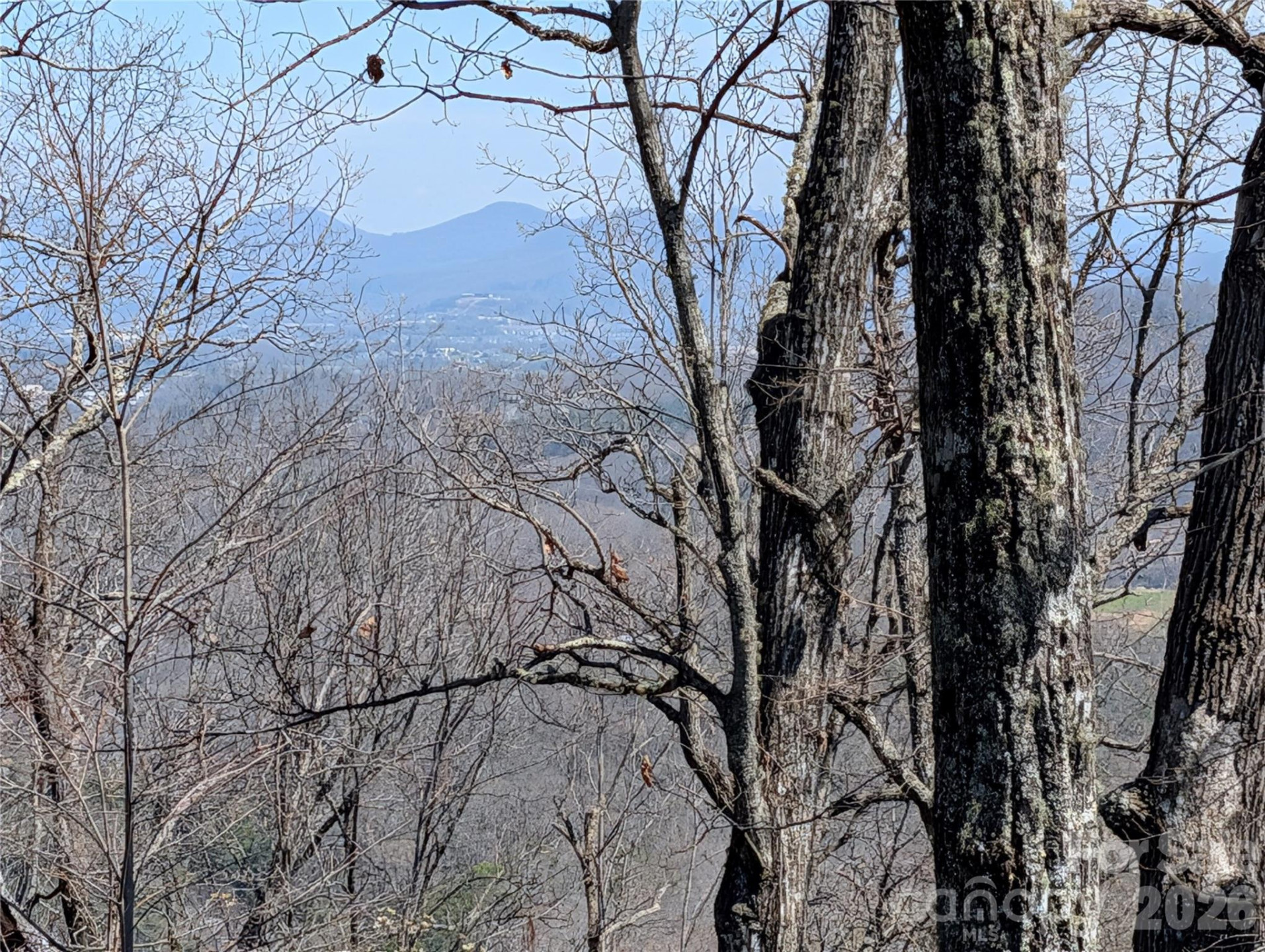 1094 Mills River Way - Photo 11