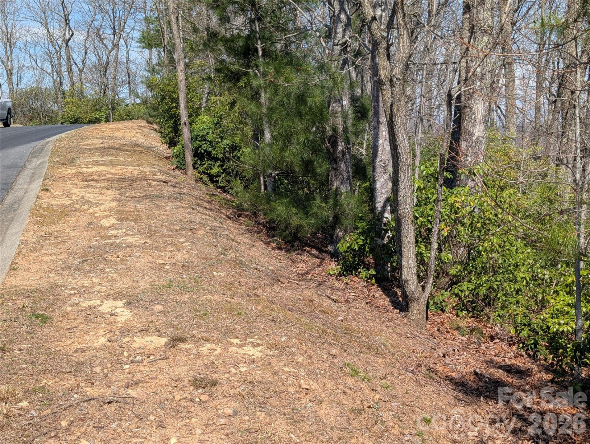 1094 Mills River Way - Photo 12