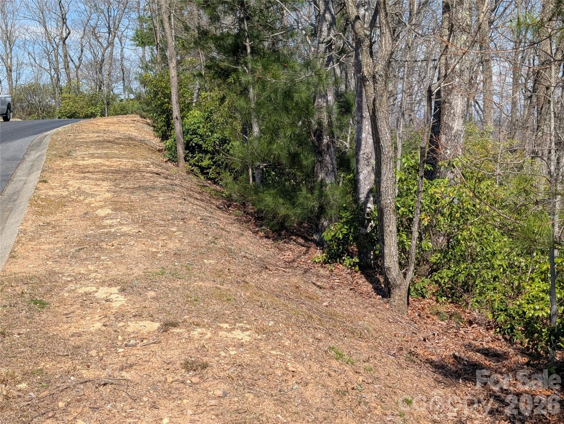 1094 Mills River Way - Photo 12